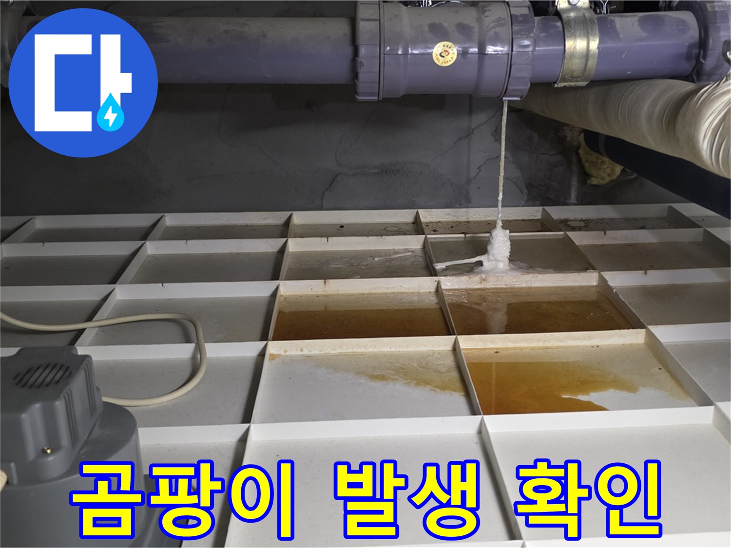 성남 분당 운중동 산운마을 6단지에서 누수 발생 지점 주변 곰팡이 발생을 확인하는 모습 - 건강에 해로운 곰팡이, 신속하게 제거해야 합니다.