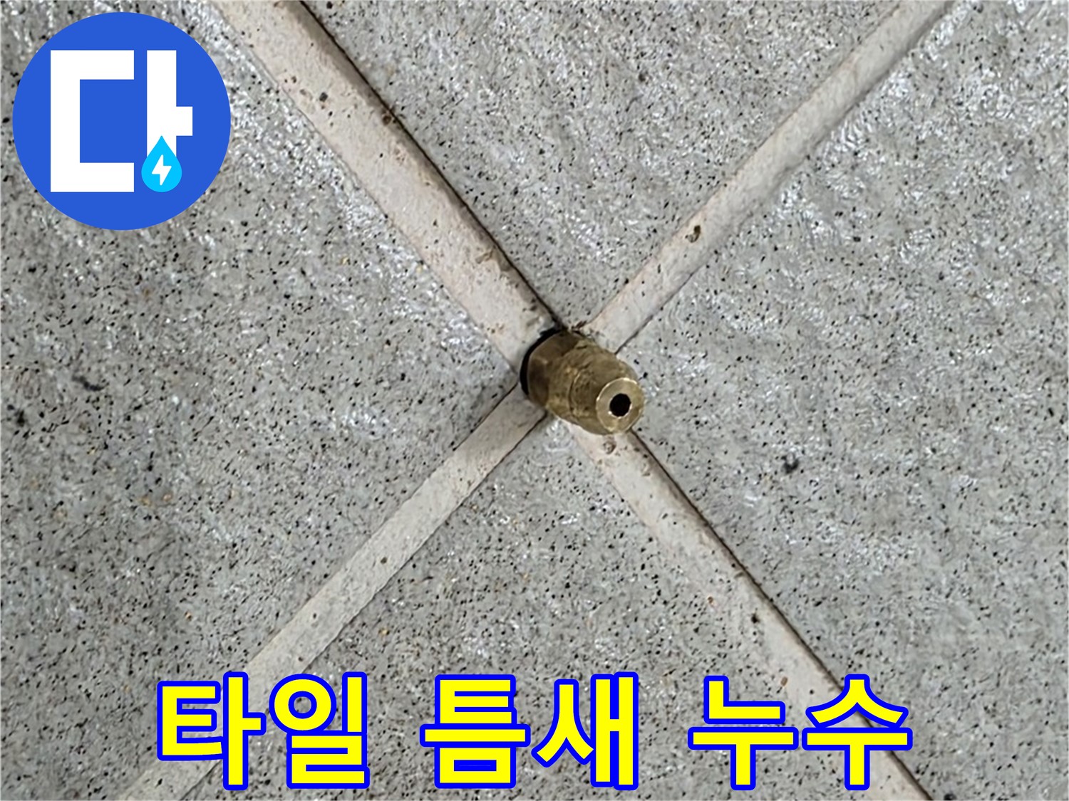 성남 분당 운중동 산운마을 누수 - 타일 틈새에서 누수 흔적을 발견했습니다.