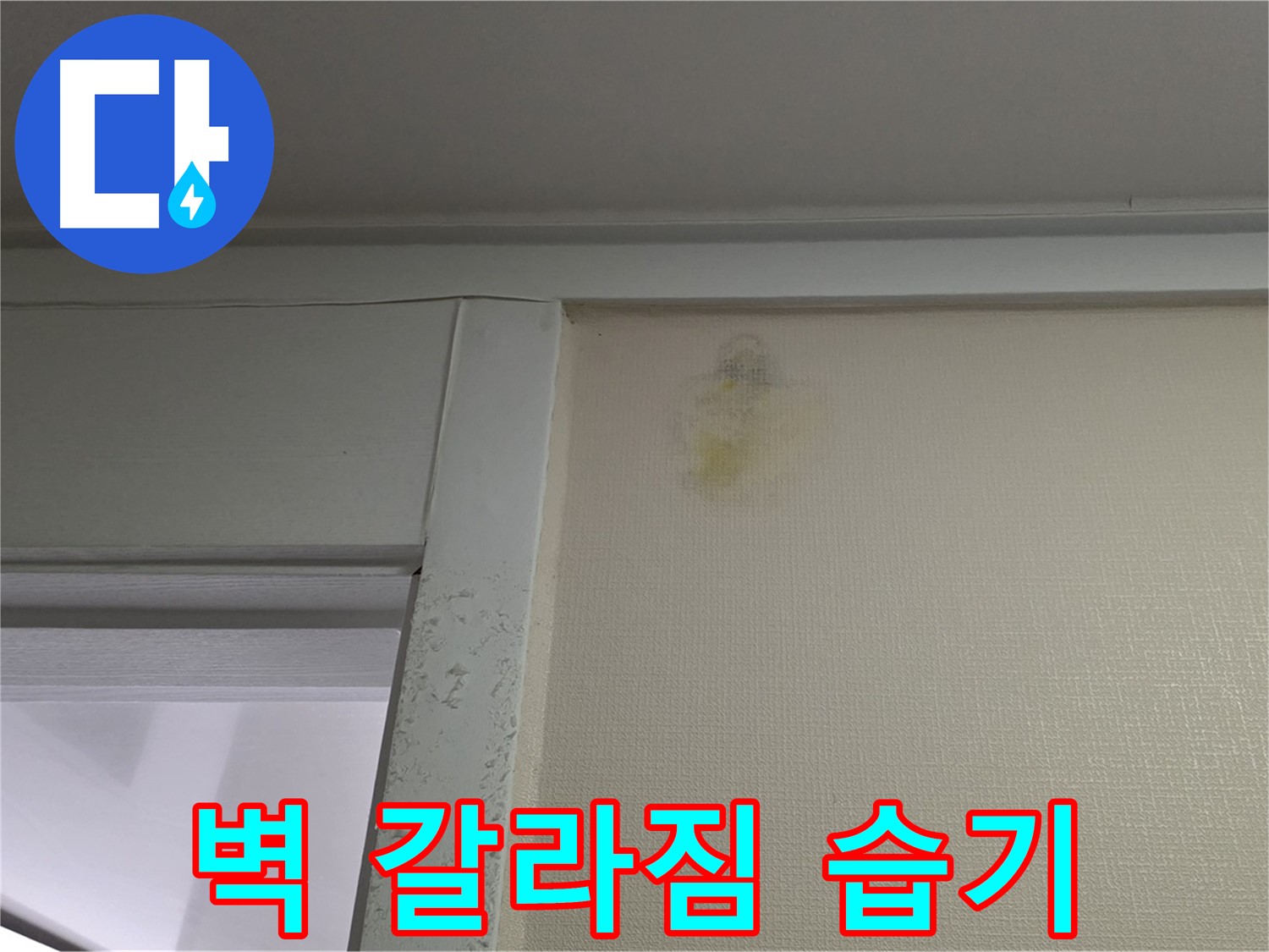 성남 분당 운중동 산운마을 아파트 - 벽 갈라짐 및 습기 누수 초기 의심