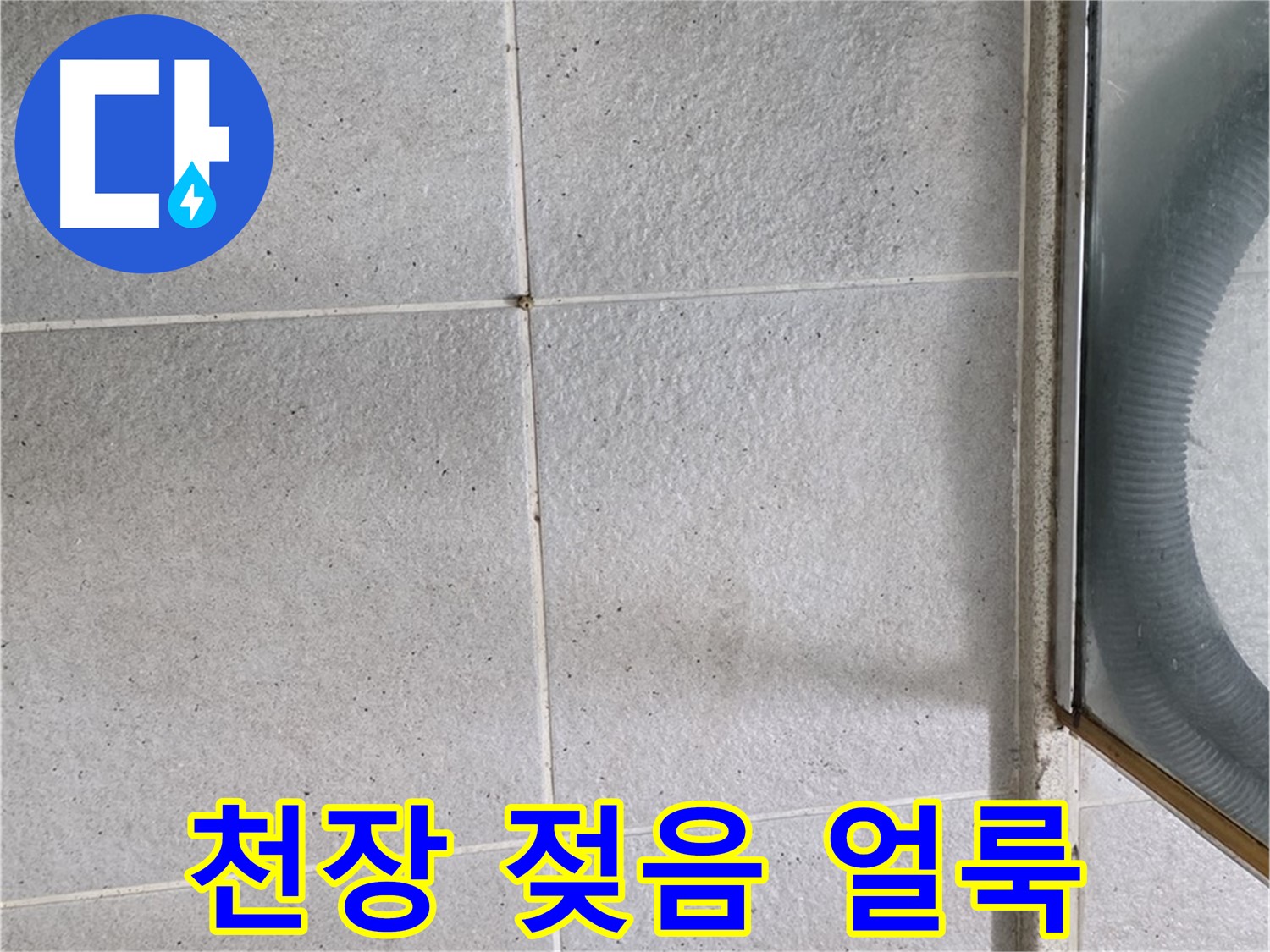성남 분당 운중동 욕실 천장 - 석고보드 젖음과 얼룩은 윗집 누수의 명백한 증거입니다.