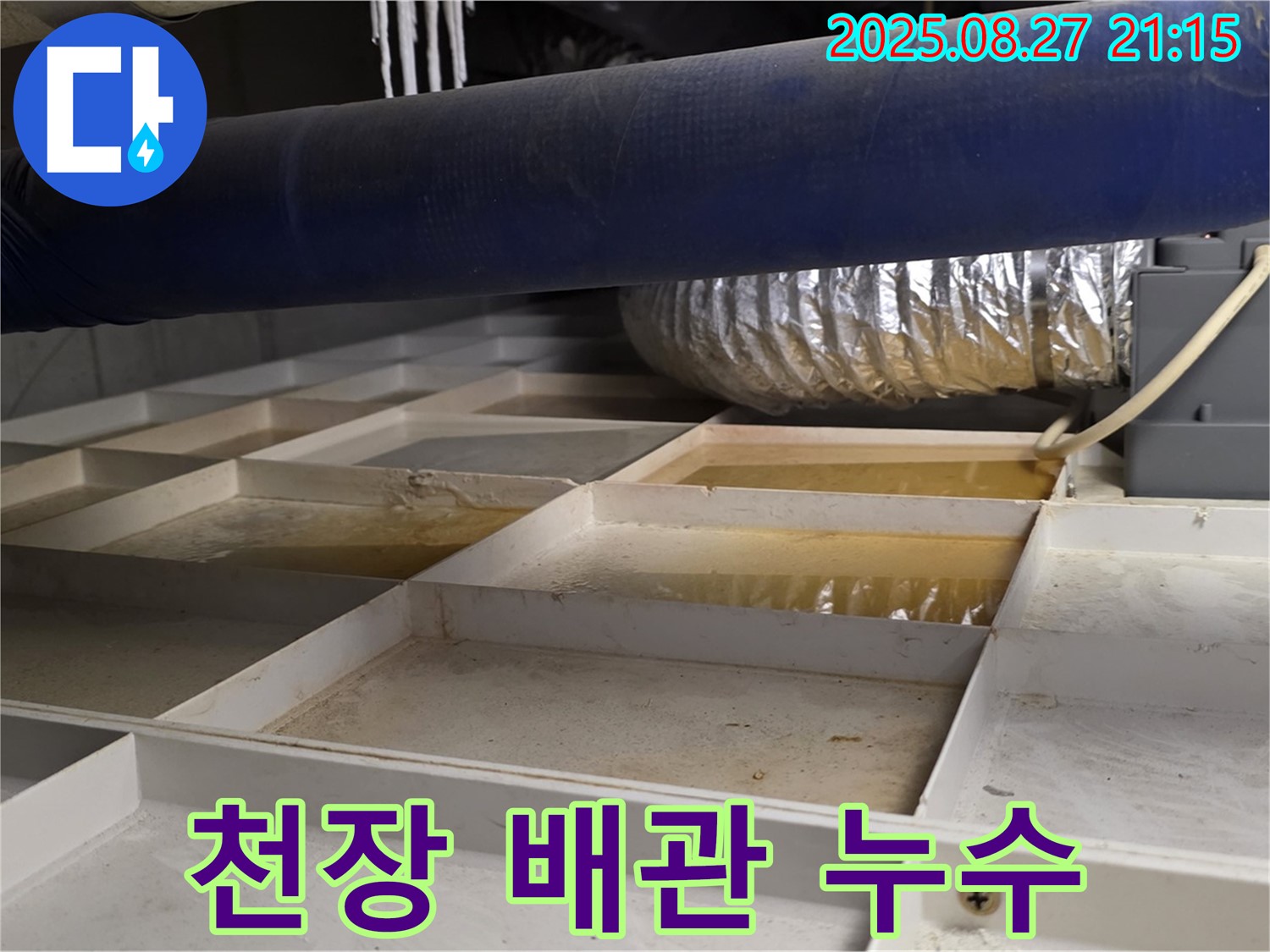 성남 운중동 산운마을 누수 현장 - 천장 배관에서 누수가 발생한 긴급 상황을 보여줍니다 - 빠른 조치가 필요합니다.