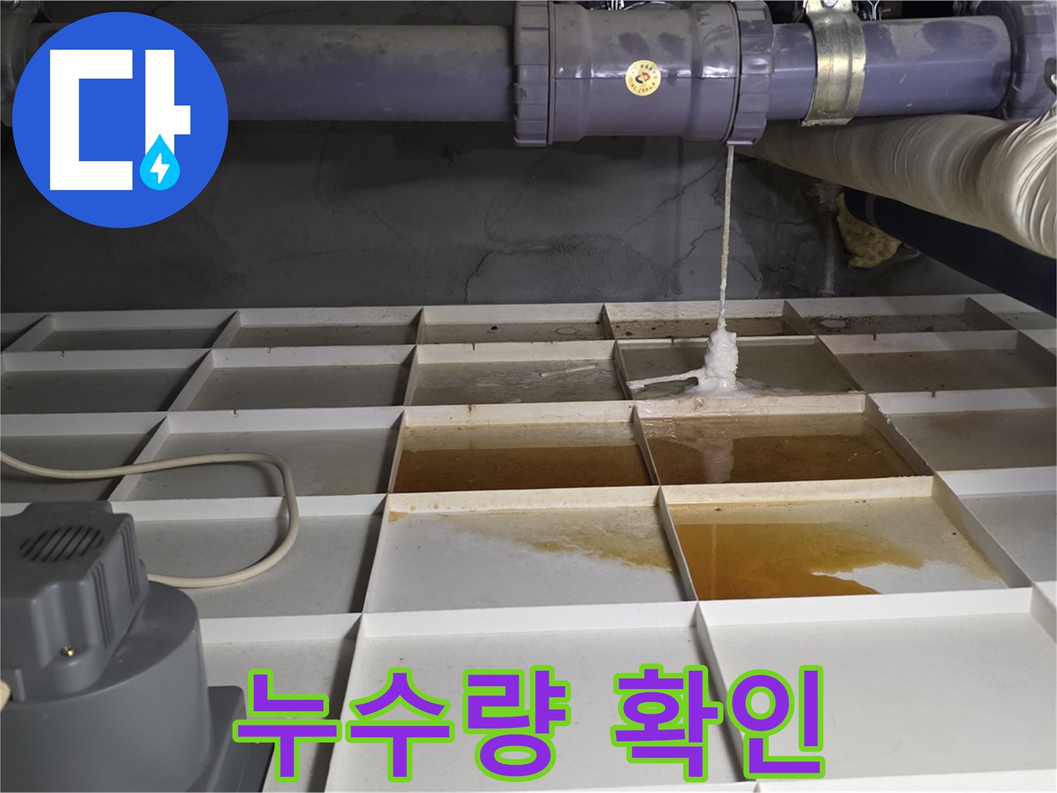 성남시 분당구 운중동 산운로 121 누수 발생 위치 주변 누수량 확인 모습 - 얼마나 새는지 꼼꼼히 봅니다.