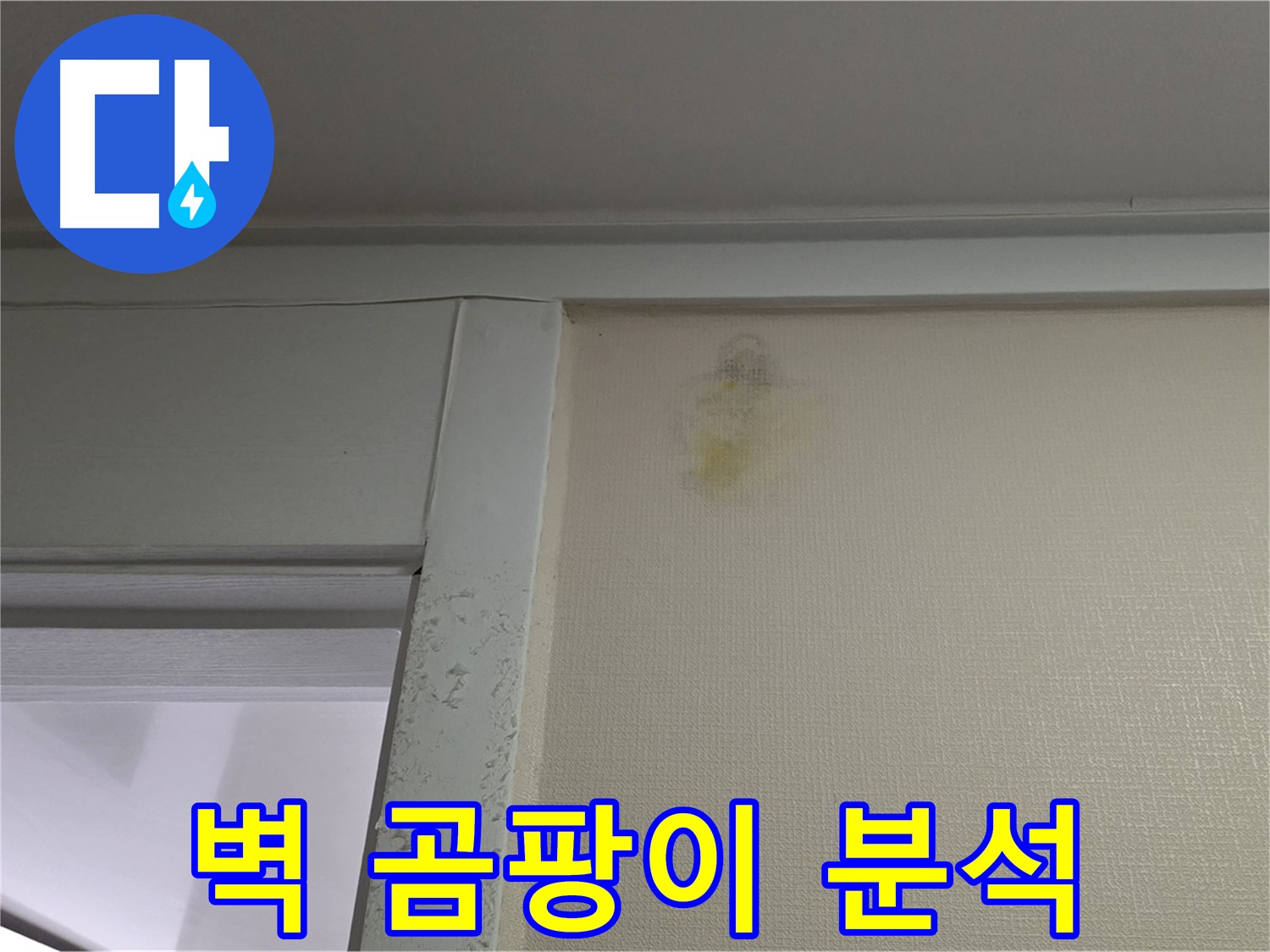 성남시 분당구 운중동 산운마을 아파트 - 벽 곰팡이 초기 누수 의심