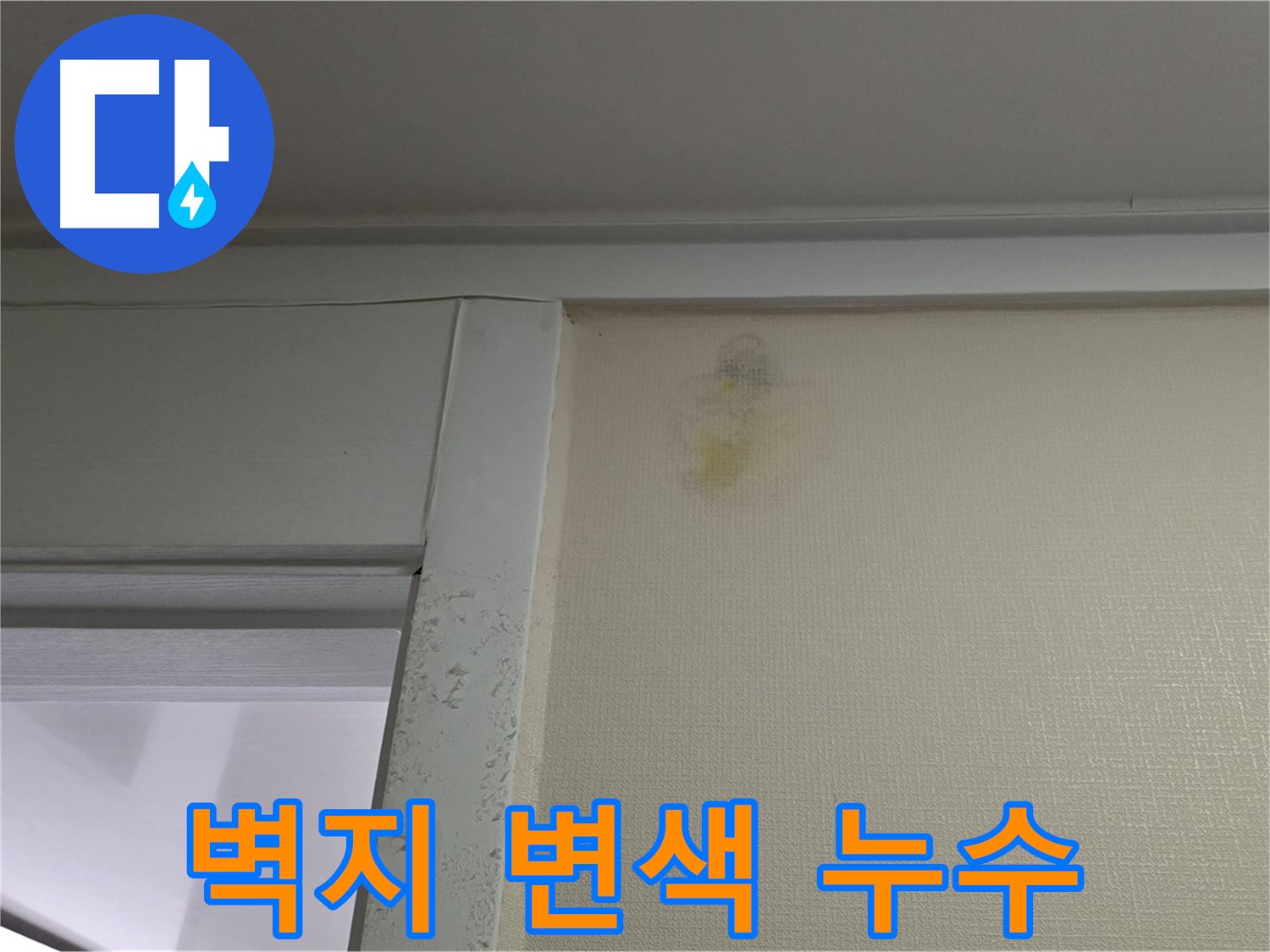 성남시 분당구 운중동 산운마을 아파트 벽지 변색 - 누수 초기 증상 확인