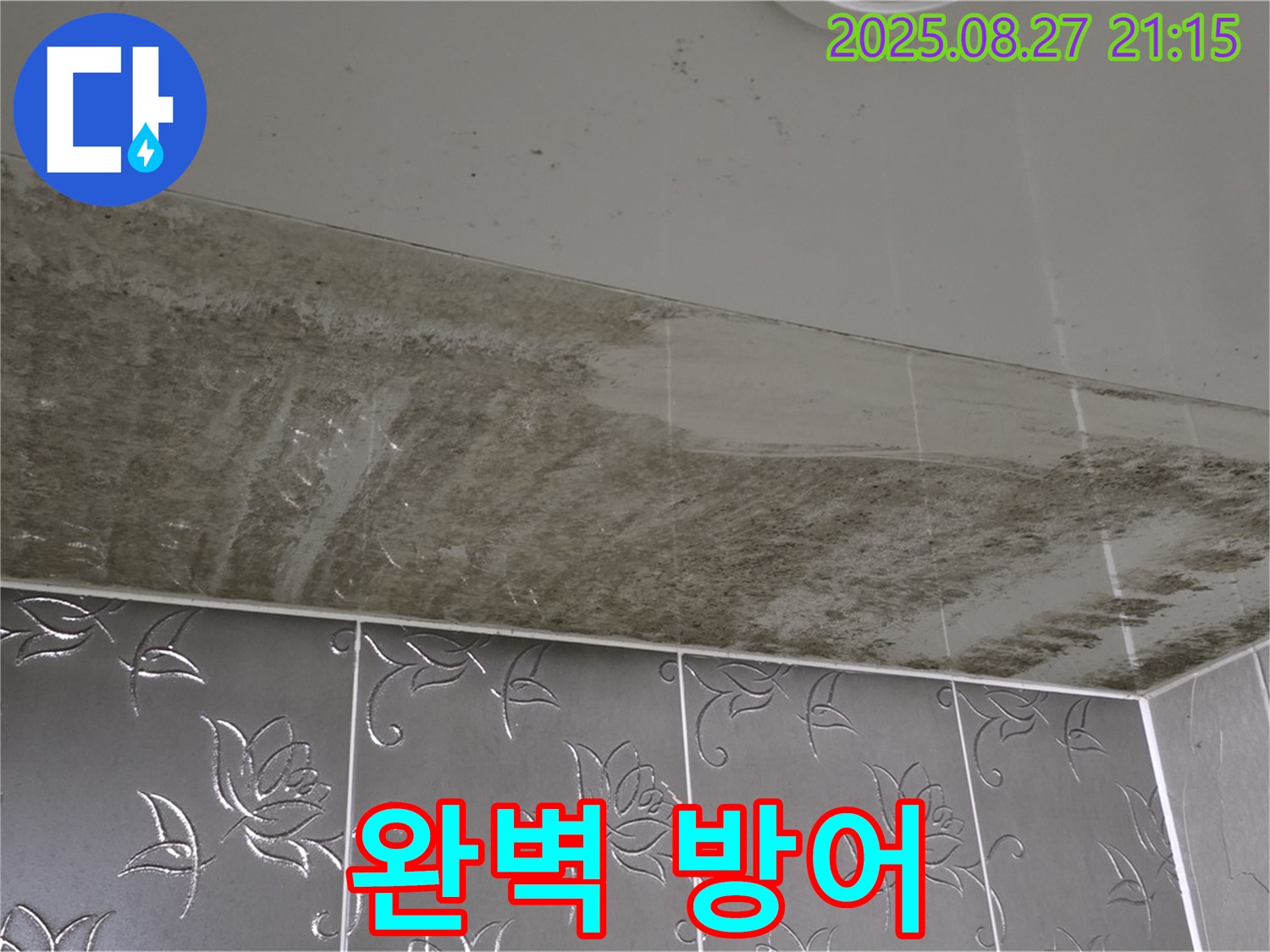 욕실 곰팡이 - 곰팡이와의 전쟁에서 완벽 방어에 성공한 욕실의 모습을 보여주는 이미지입니다.