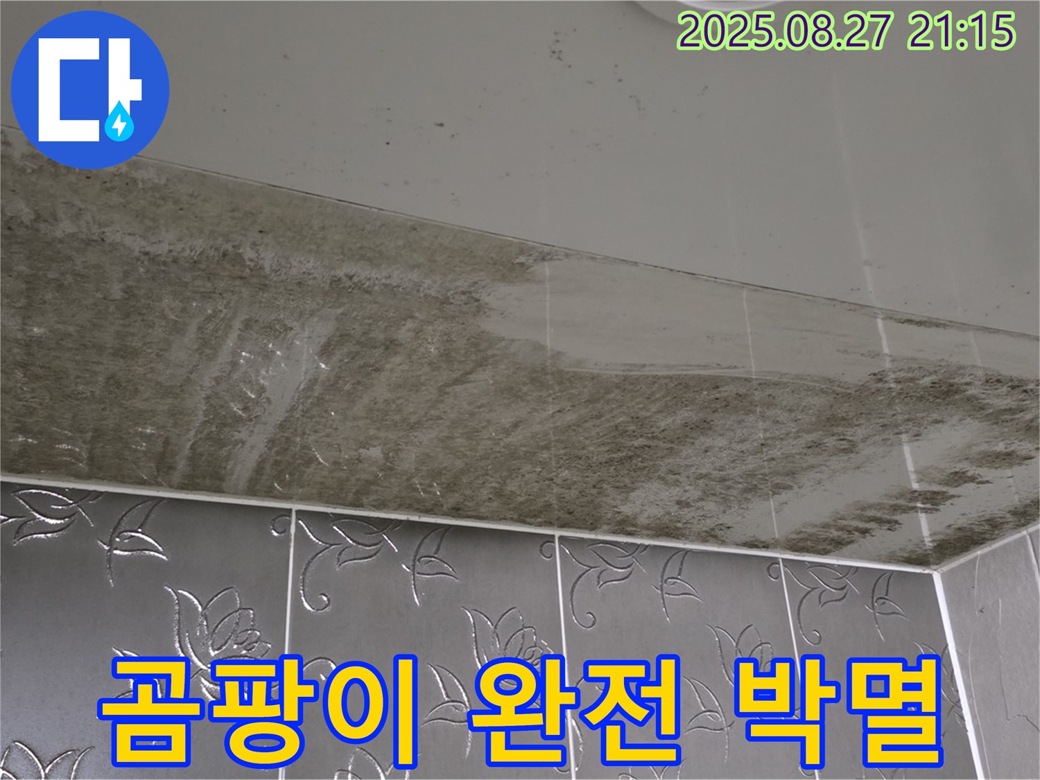 욕실 누수 공사 후 - 곰팡이 제거 및 방수 공사 완료 후 깨끗해진 욕실을 보여주는 이미지입니다 - 곰팡이 완전 박멸을 강조합니다.