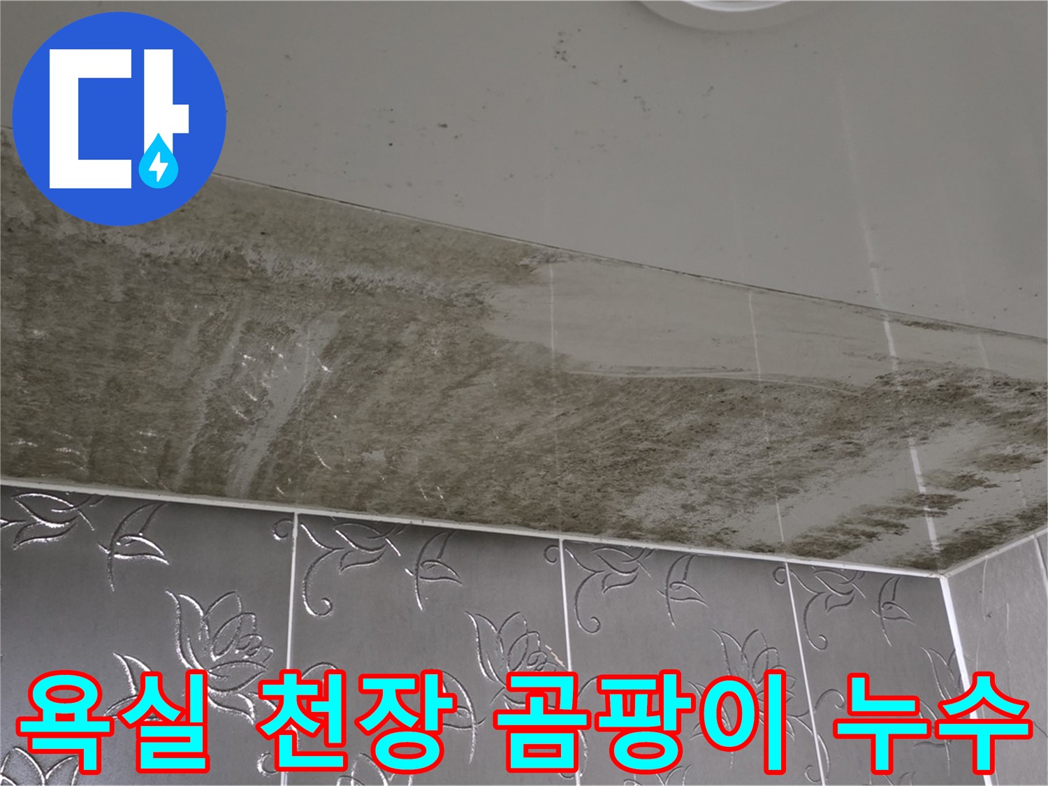 욕실 천장 곰팡이 - 누수 원인 해결을 위한 정밀 탐지 과정