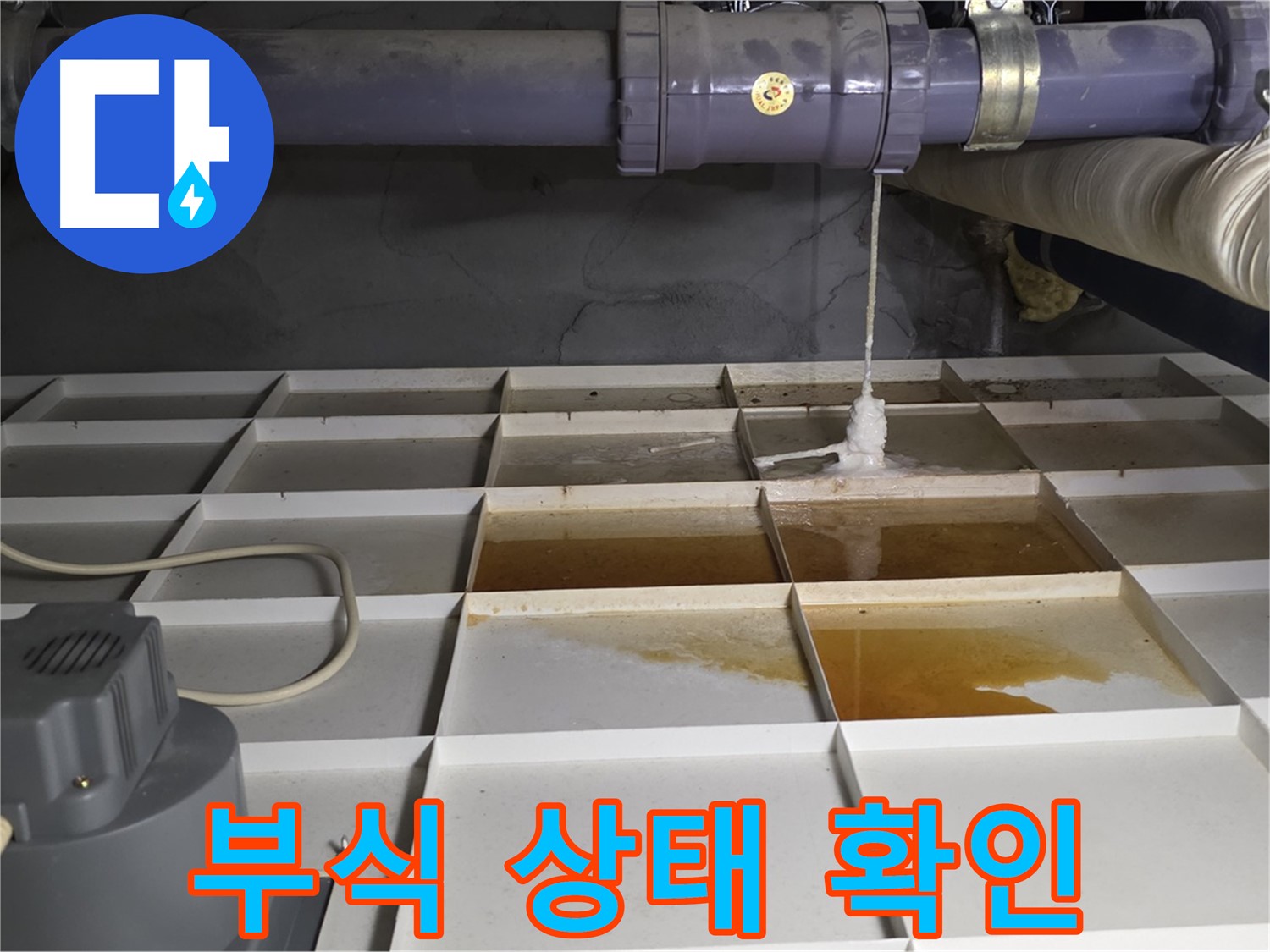운중동 산운로 121 산운마을 6단지에서 누수 발생 지점 주변 배관 연결 부위 부식을 확인하는 모습 - 부식 정도를 꼼꼼하게 확인합니다.