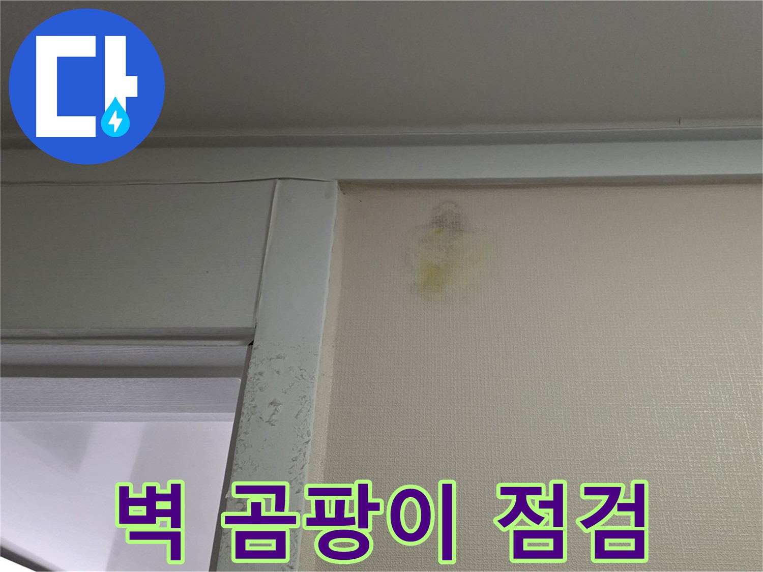 운중동 산운마을 6단지 아파트 - 벽 주변 곰팡이 누수 초기 증상 확인