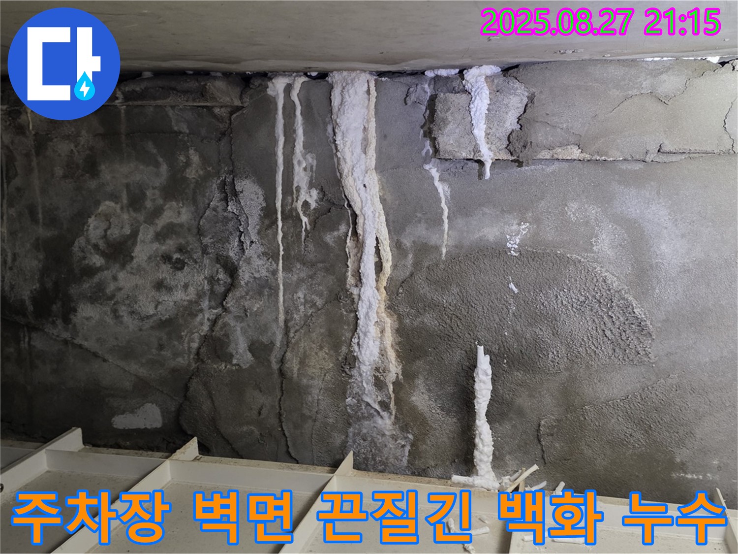 운중동 산운마을 6단지 지하 주차장 벽면 - 끈질기게 발생했던 백화현상과 누수를 완벽하게 퇴치한 시공 사례입니다.