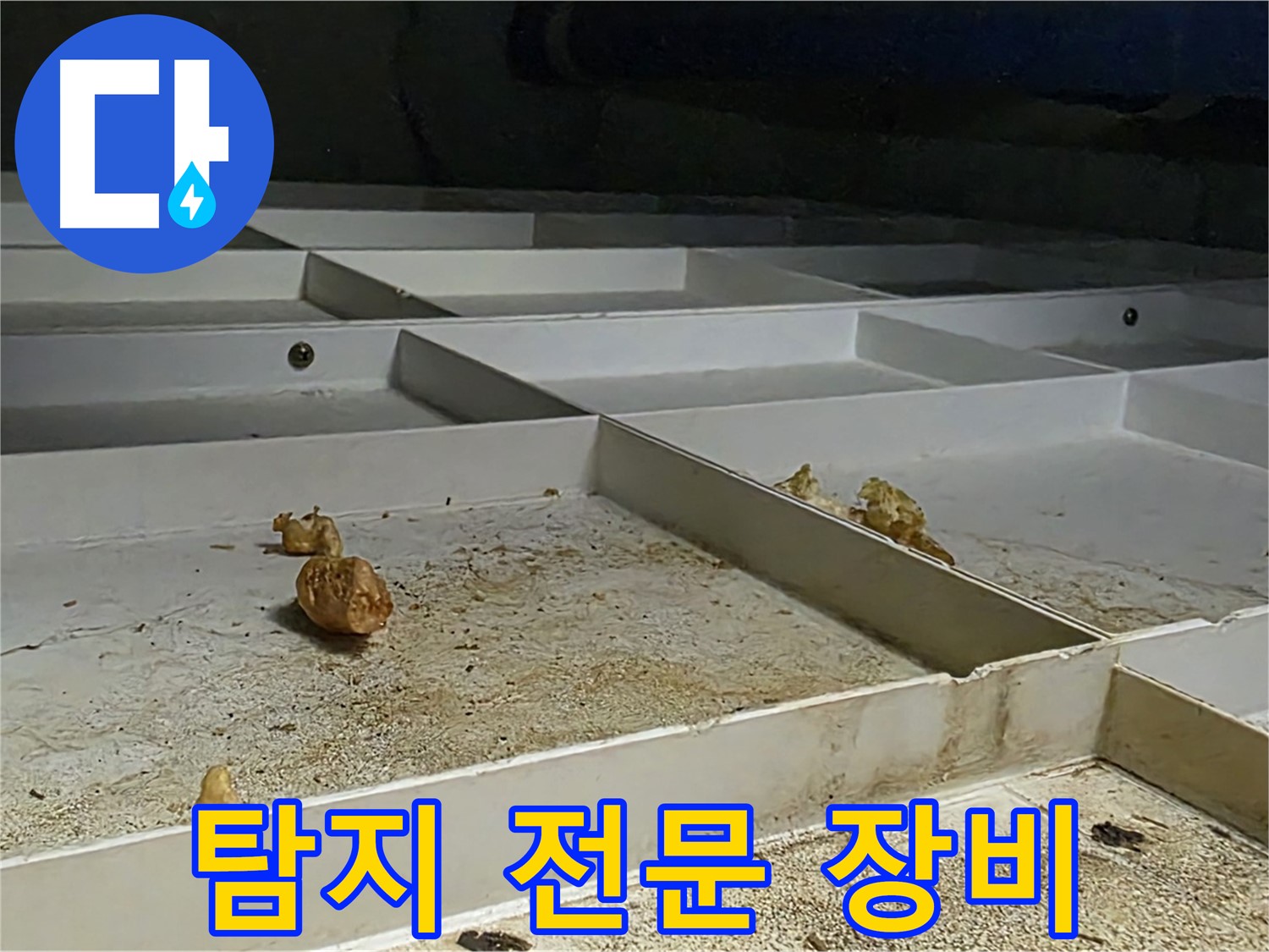 탐지 전문 장비 - 누수 탐지 전문 장비 활용