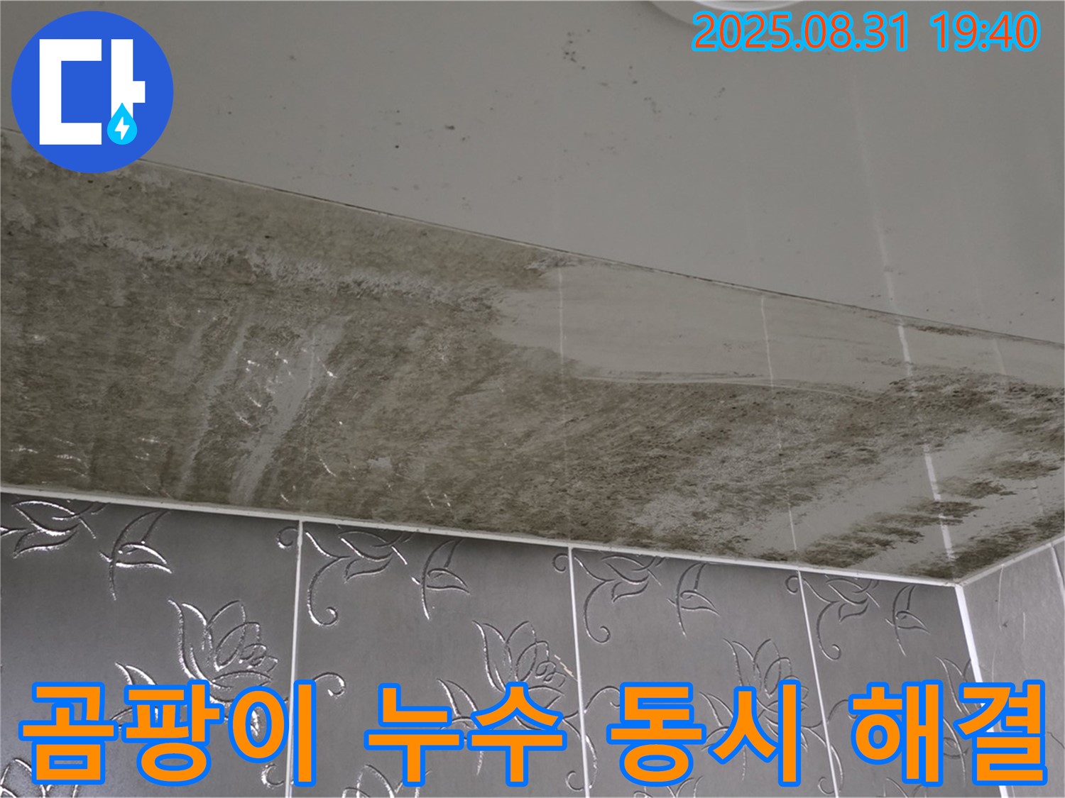 곰팡이 누수 동시 해결 - 누수 원인 제거와 곰팡이 제거를 한 번에