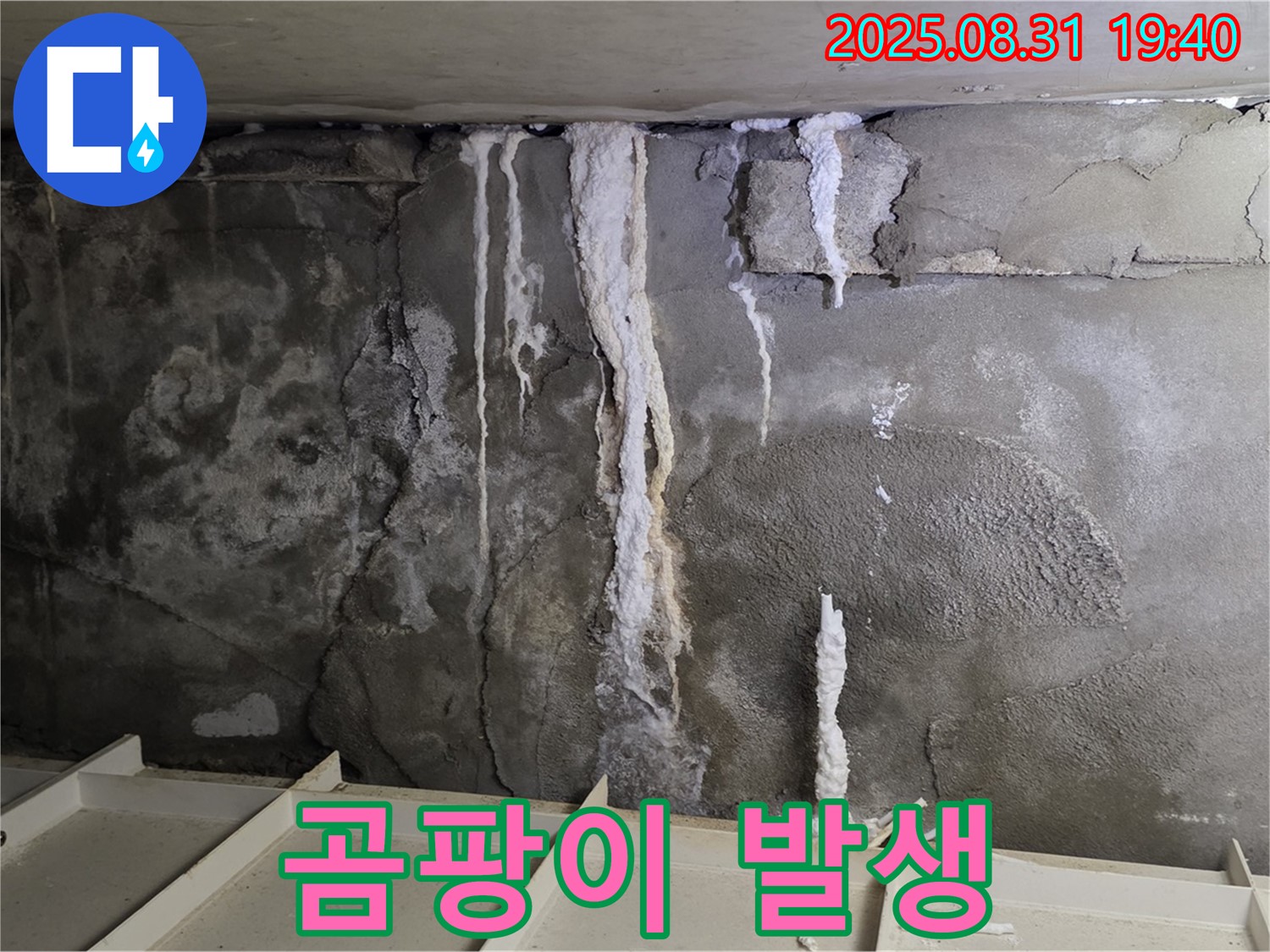 곰팡이 발생 - 분당구 산운동 누수 현장에서 곰팡이가 발생한 모습입니다. 누수 해결과 함께 곰팡이 제거가 필요합니다.