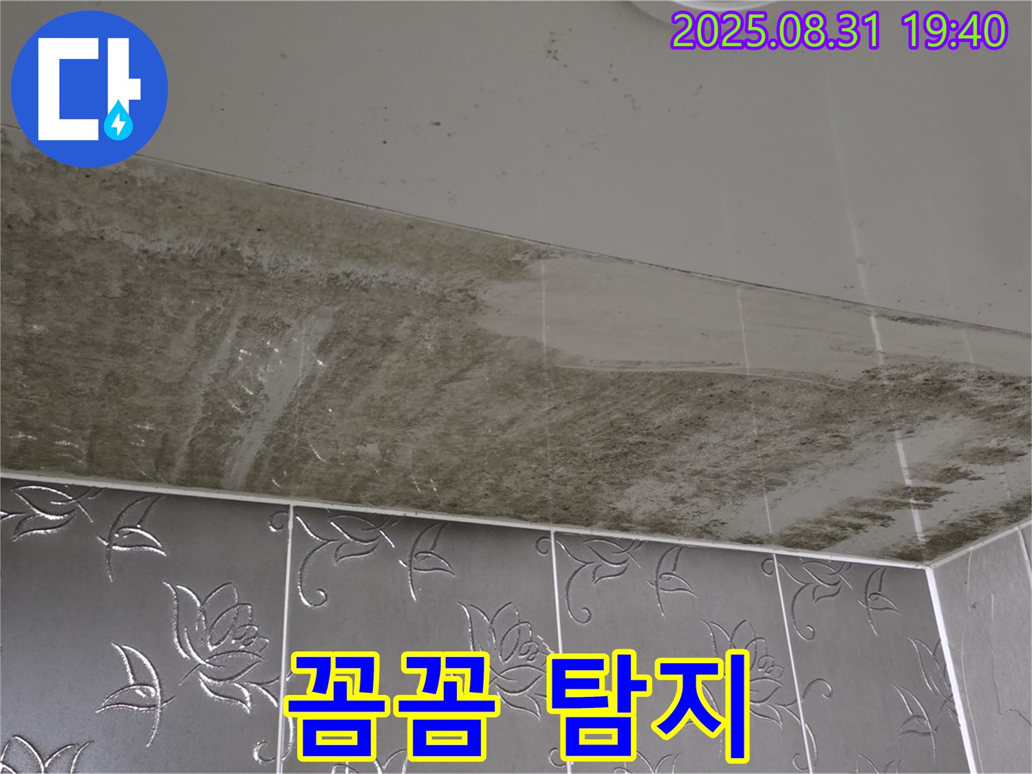 꼼꼼한 누수탐지 - 숙련된 기술과 첨단 장비로 분석