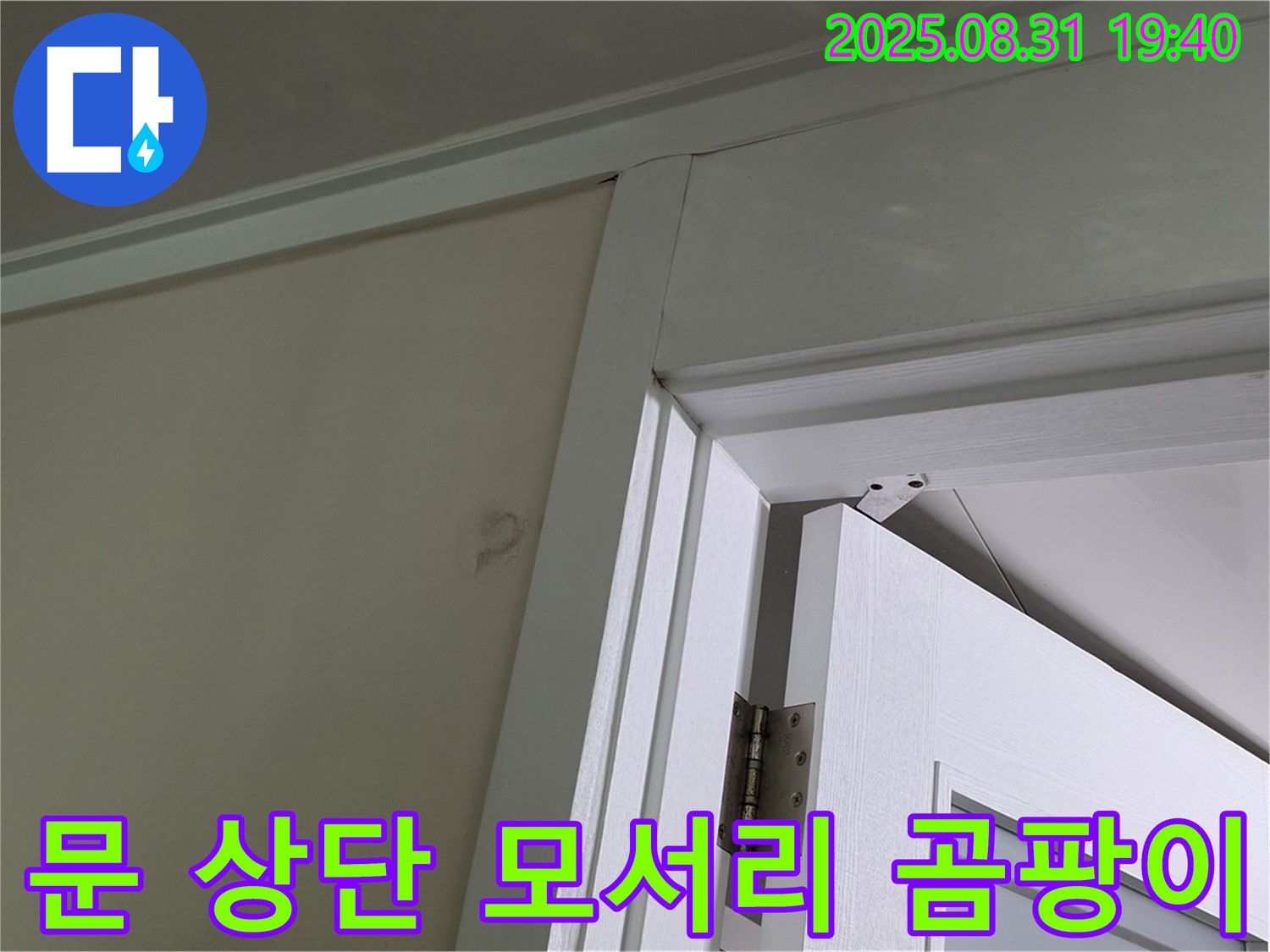 문 상단 모서리 곰팡이 - 문 상단 모서리에 곰팡이가 발생했습니다.