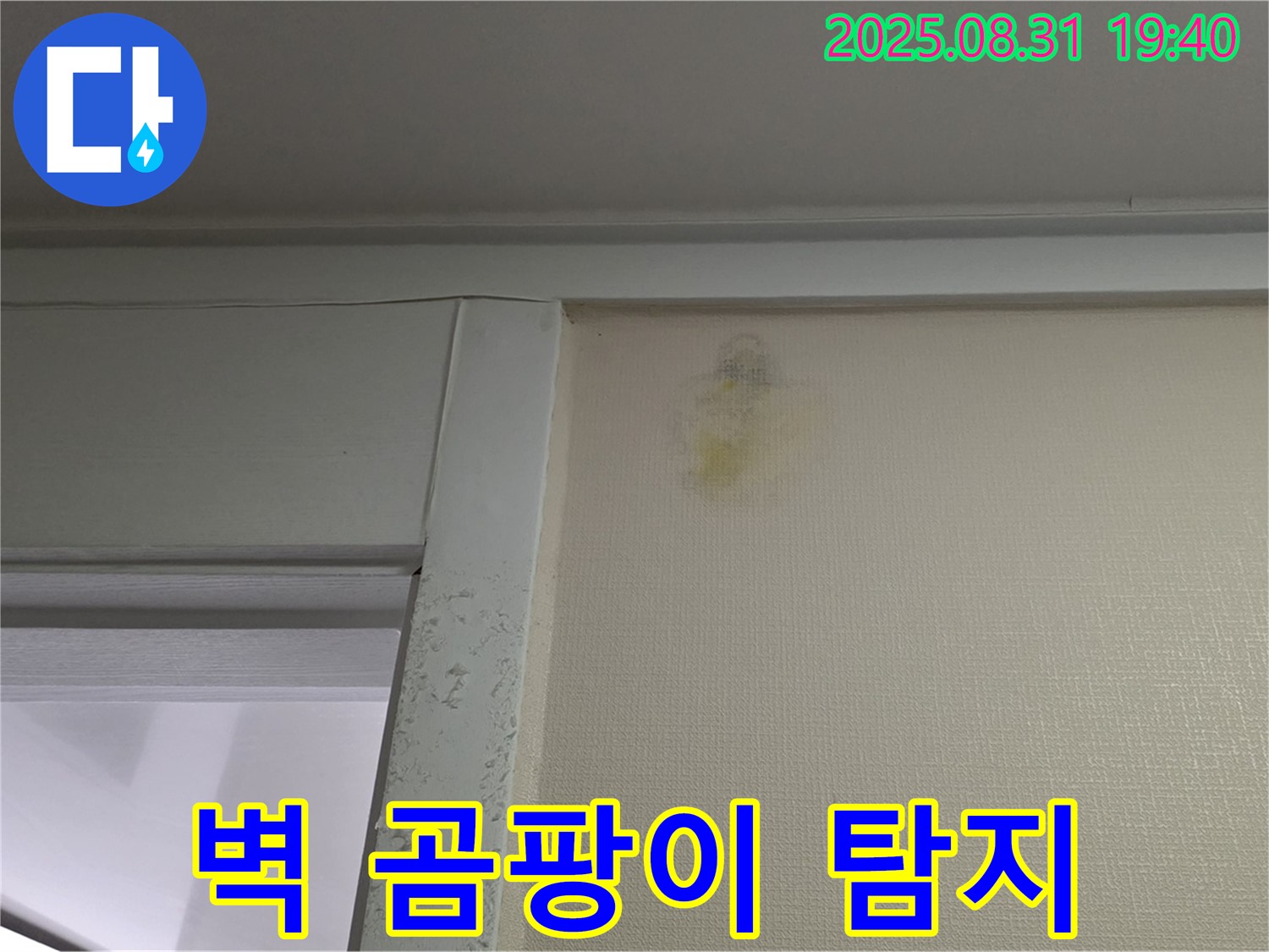 벽 곰팡이 탐지 - 성남 분당 산운동 누수탐지 - 숨겨진 누수