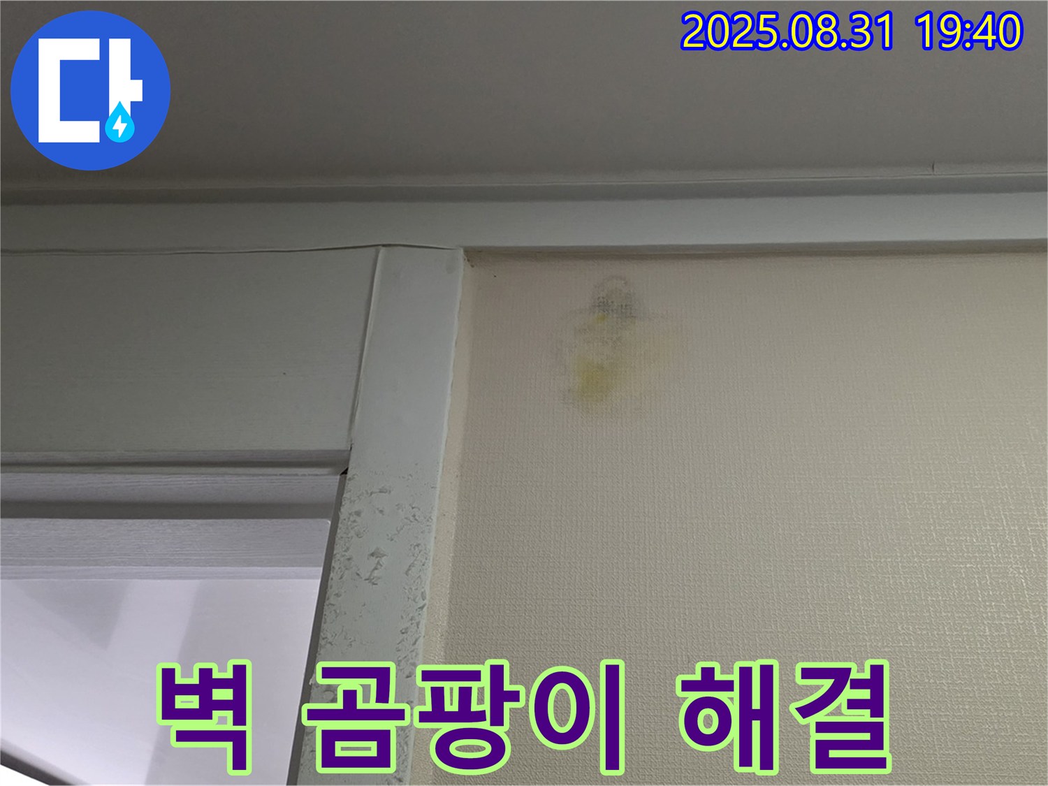 벽 곰팡이 해결 - 성남 분당 산운마을 누수 - 고객 만족