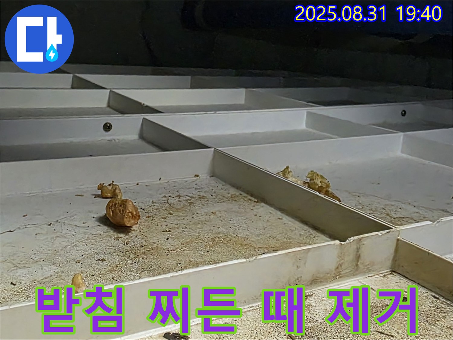 분당 구미동 누수 - 천장 배수 받침 찌든 때 말끔히 제거 완료