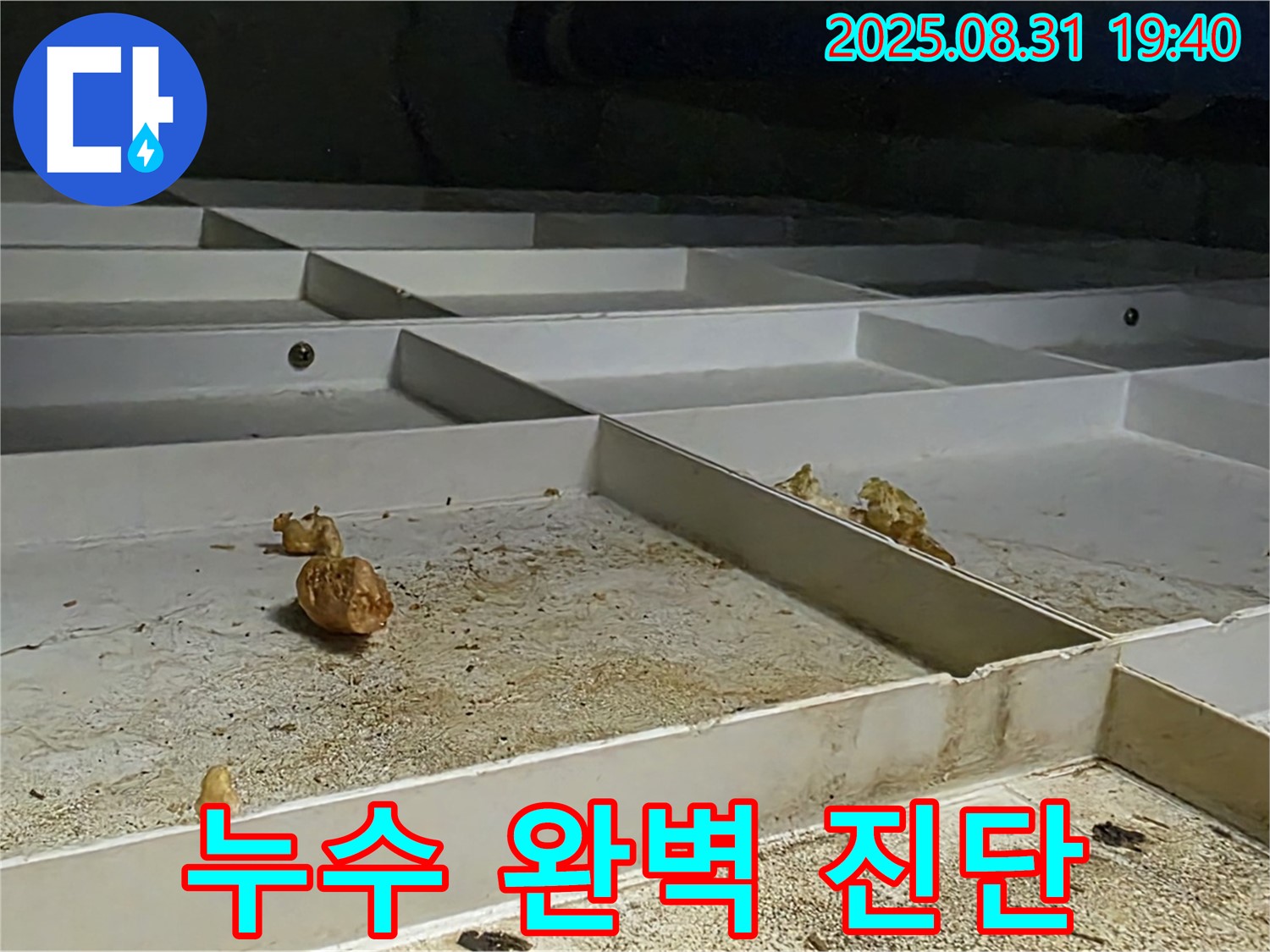 분당 누수 - 산운로 누수 문제 완벽 진단 과정