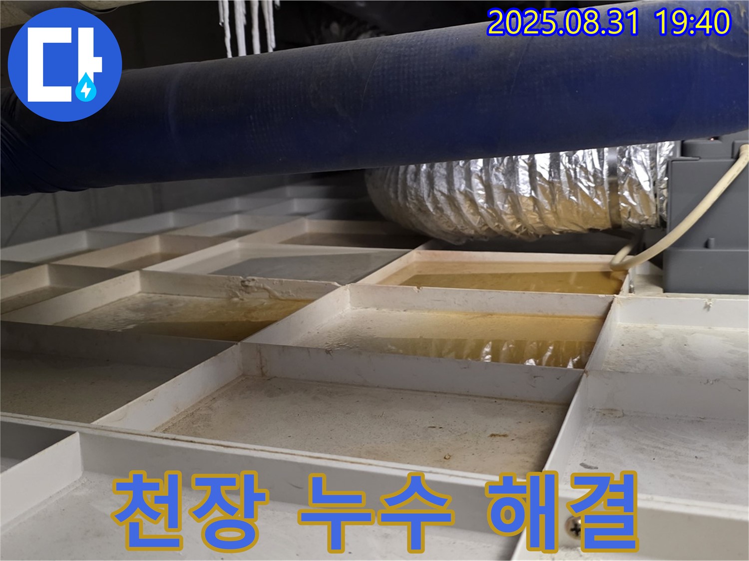 분당 산운로 건물 천장 누수를 완벽하게 해결하는 과정 - 누수 원인을 정확히 파악하고 맞춤형 해결책을 제시합니다.