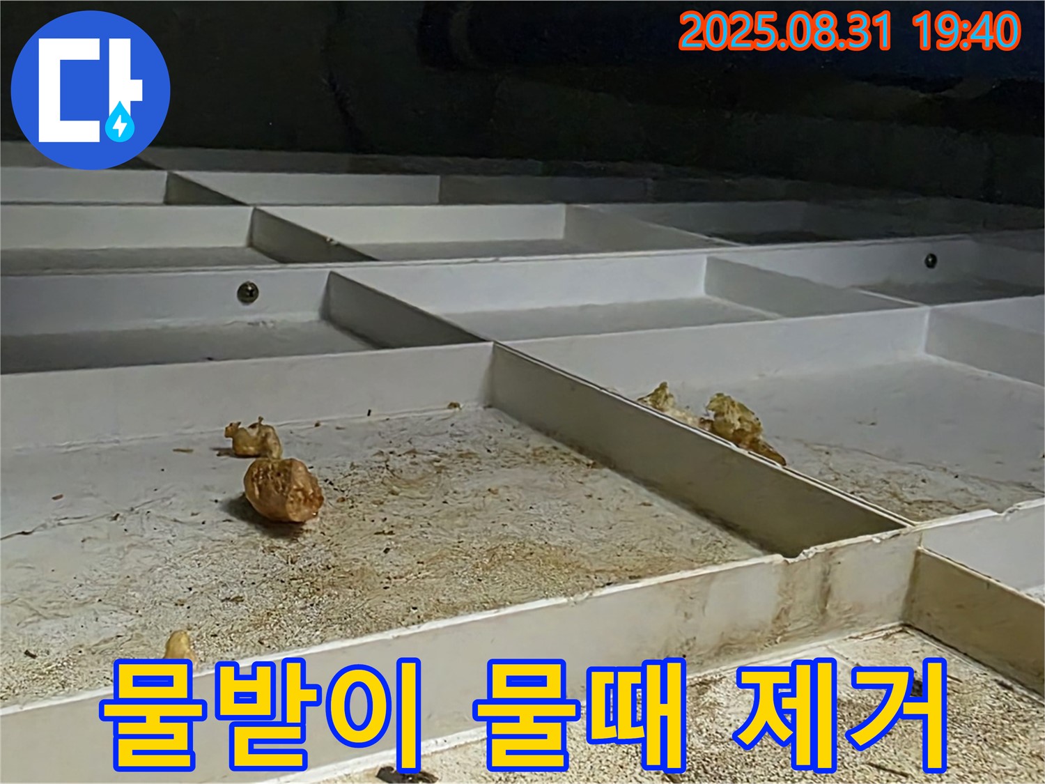 분당 산운로 누수 - 천장 물받이 낡은 물때 제거하고 청결 유지