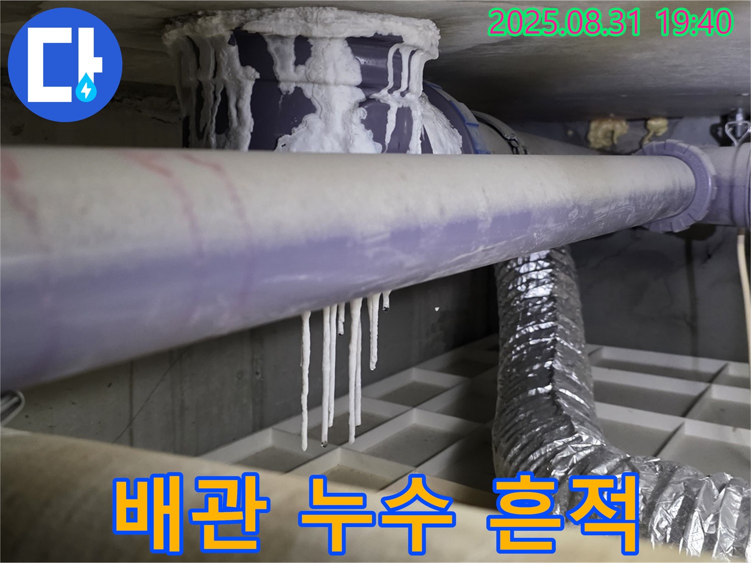 분당 산운로 주택에서 발생한 배관 누수 흔적 - 누수 위치를 정확히 파악하고 신속하게 해결합니다.