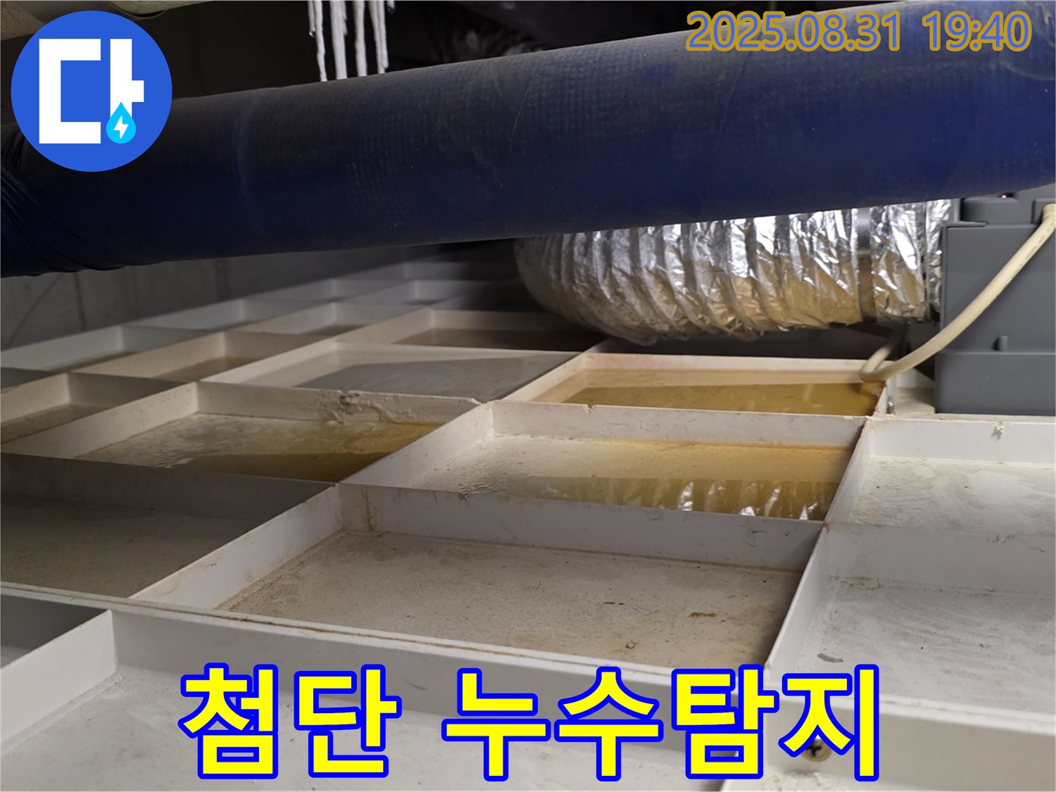 분당 산운로에서 첨단 장비를 사용하여 누수탐지를 정확하게 진행하는 과정 - 숨겨진 누수 지점을 찾아냅니다.
