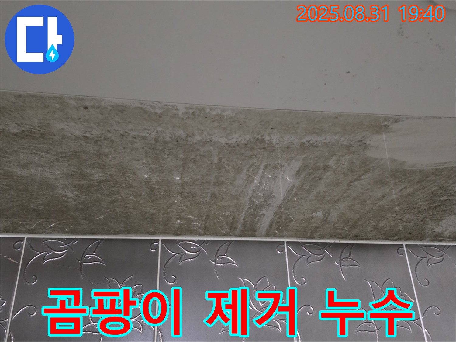 분당 산운마을 욕실 천장 누수 - 곰팡이 제거와 누수 해결 과정