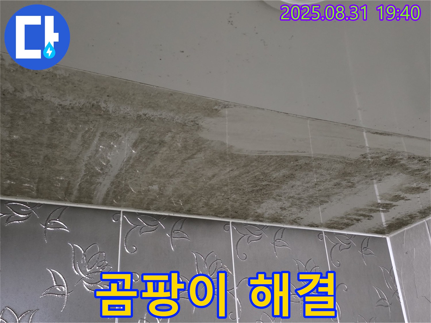 분당 석운동 욕실 - 누수와 곰팡이 문제를 해결하고 쾌적해진 욕실의 모습입니다.