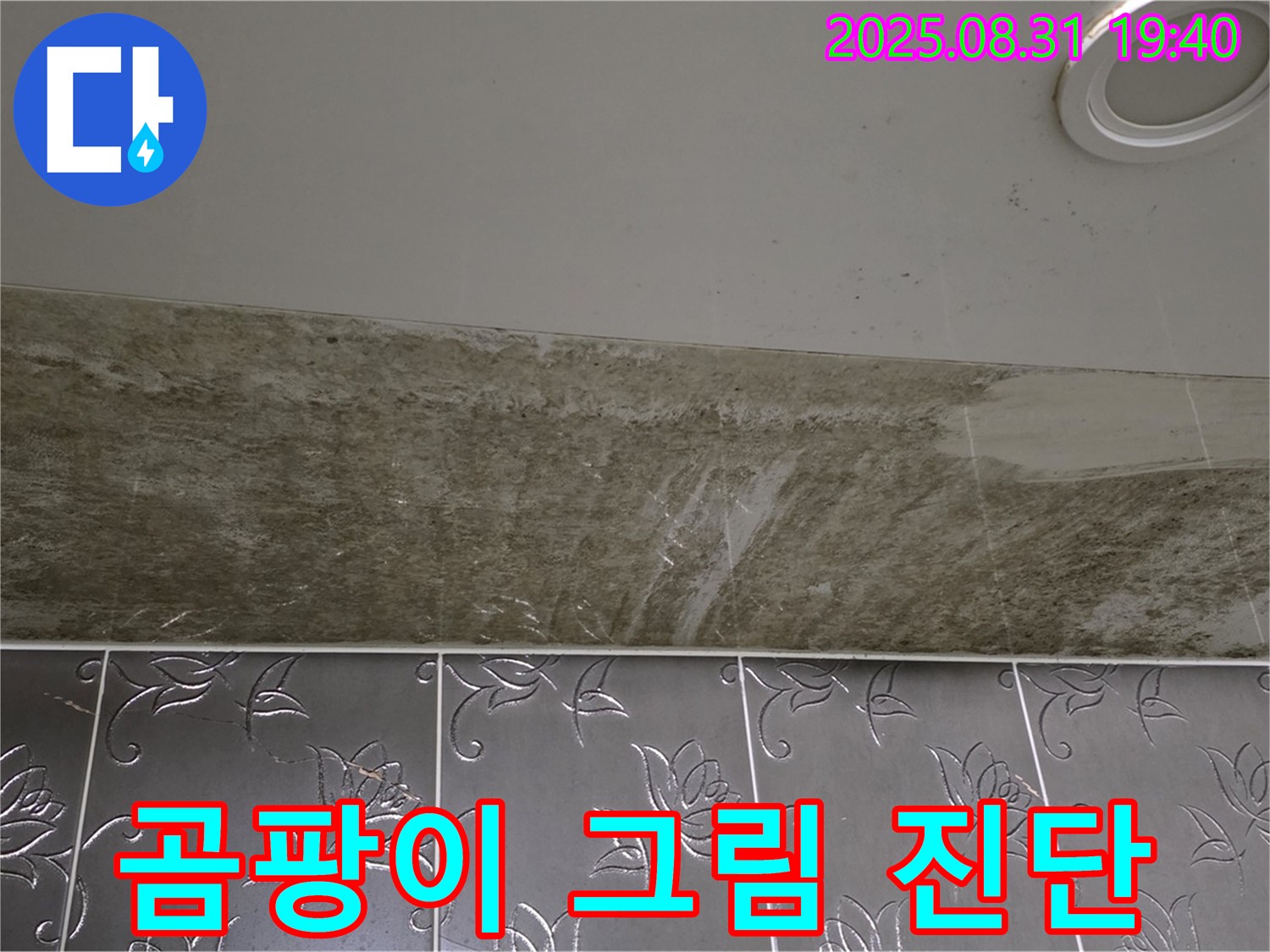 분당 이매동 욕실 천장 누수 - 곰팡이가 그림처럼 핀 누수, 긴급 진단!