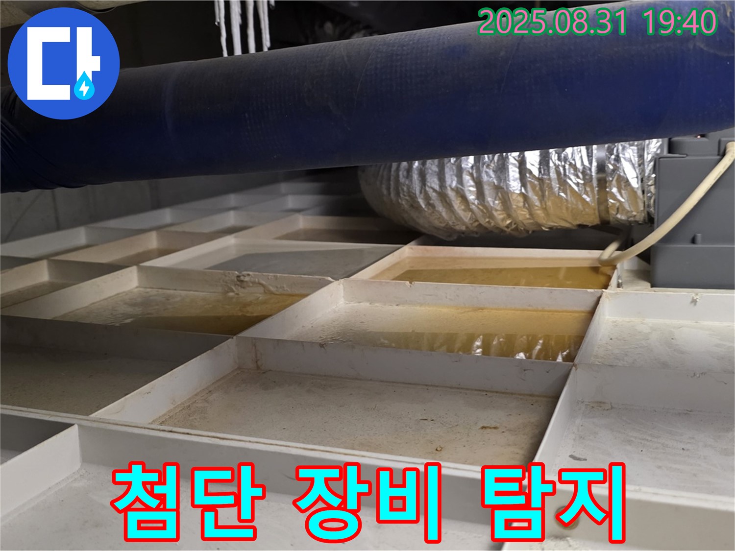 분당 정자동 건물 지하 누수 - 첨단 장비를 이용한 정밀 누수 탐지 진행