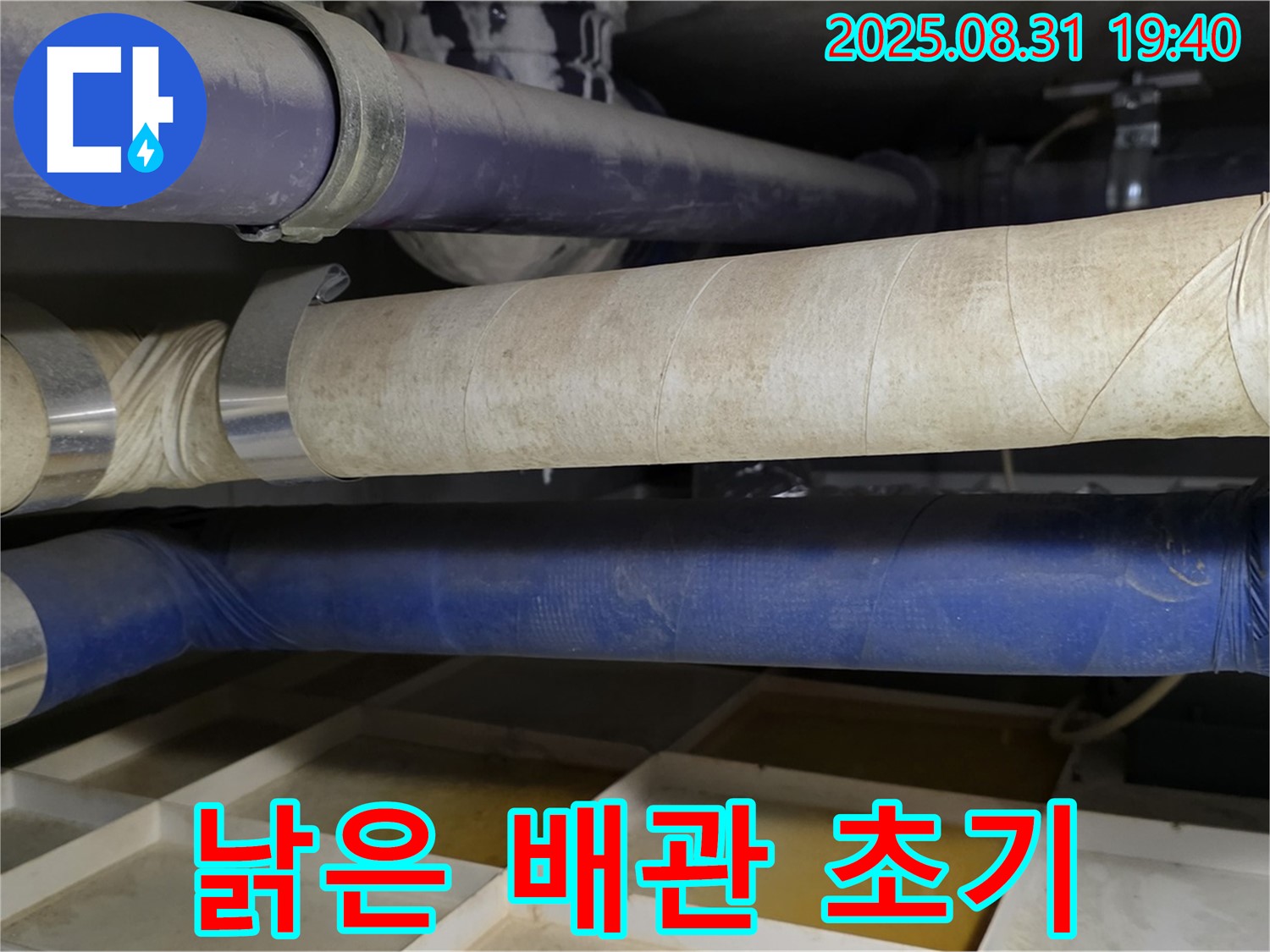 분당 정자동 누수 - 낡은 배관, 누수 초기 증상일 수 있습니다! 신속한 점검으로 큰 피해를 막으세요.
