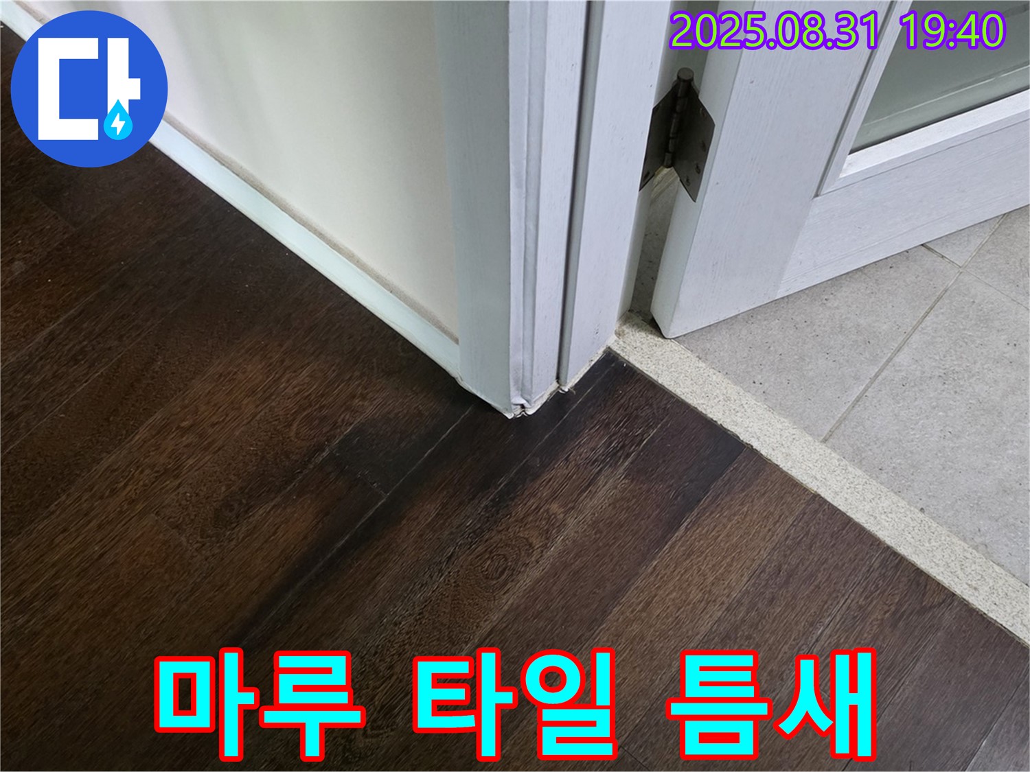 분당 정자동 누수 - 마루와 타일 연결 부위 틈새가 벌어졌다면 벌레가 침입할 수 있으니 꼼꼼하게 점검해야 합니다.