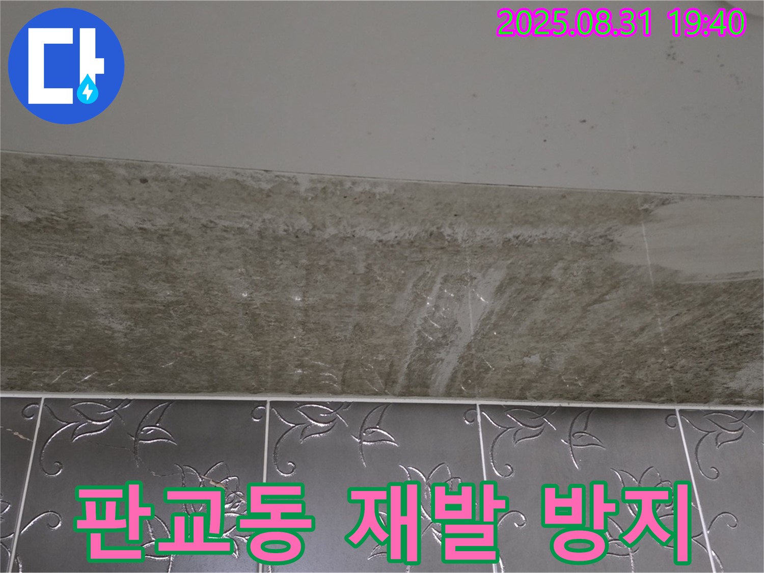 분당 판교동 욕실 곰팡이 - 재발 방지 시공으로 안심!