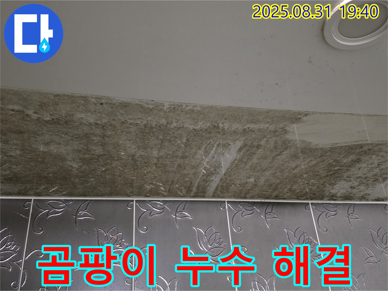 분당구 구미동 곰팡이 가득한 욕실 천장 누수 - 완벽하게 해결된 누수 현장!