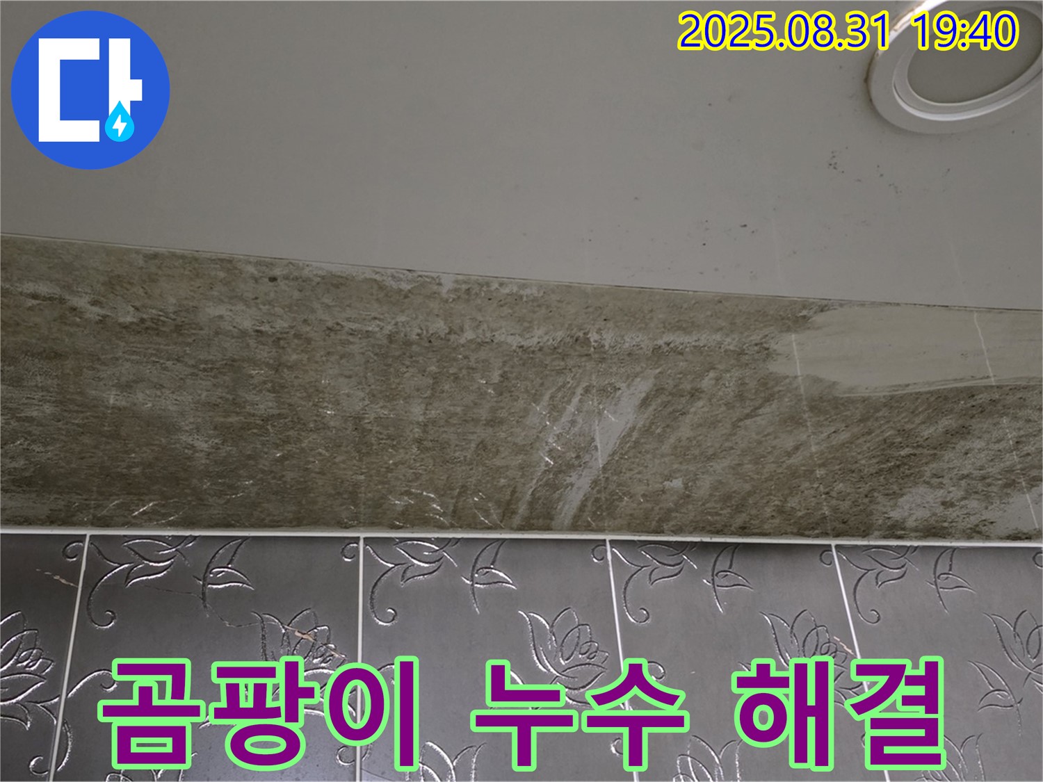 분당구 백현동 곰팡이 가득한 욕실 천장 누수 - 완벽하게 해결된 누수 현장!