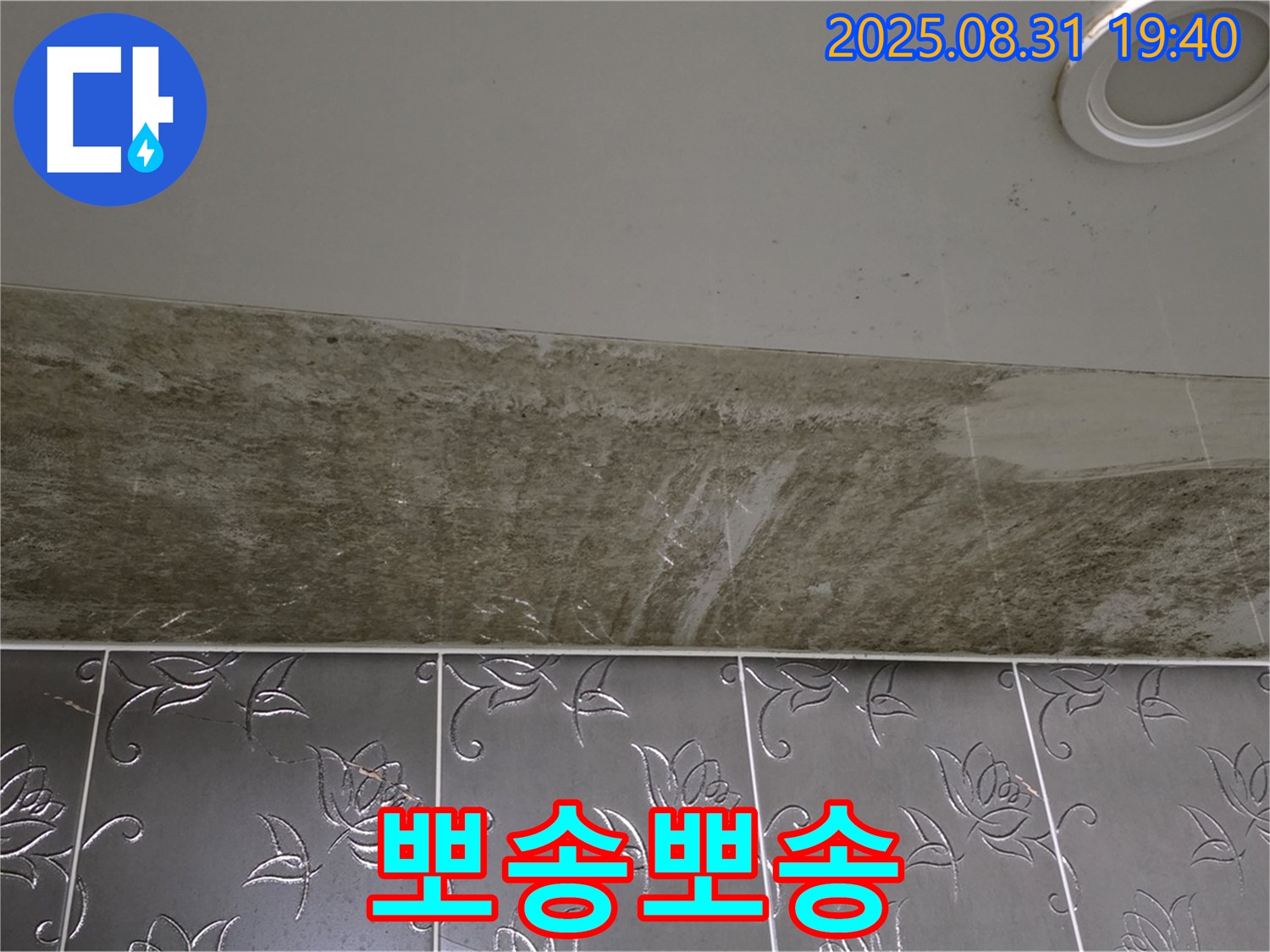 분당구 백현동 욕실 천장 누수 - 곰팡이 완벽 제거하고 뽀송뽀송한 욕실로!
