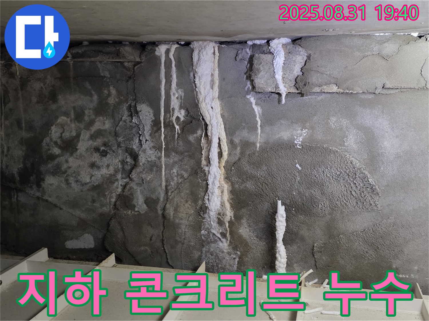 분당구 산운동 건물 지하 콘크리트 누수 - 심각한 석회수 누수 흔적과 콘크리트 손상, 건물 안전 위협
