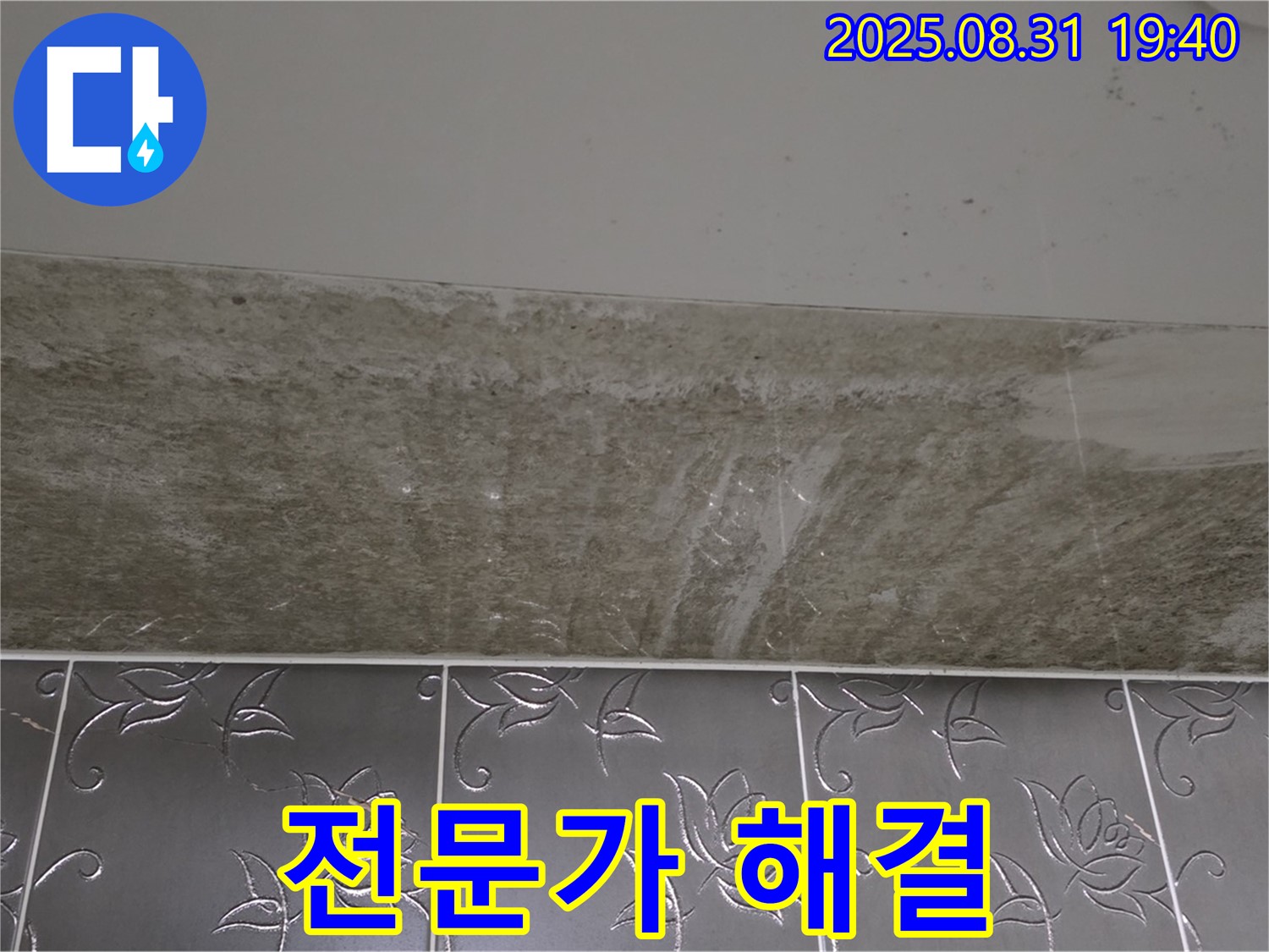 분당구 산운동 욕실 곰팡이 - 곰팡이 더 이상 참지 마세요 전문가 해결