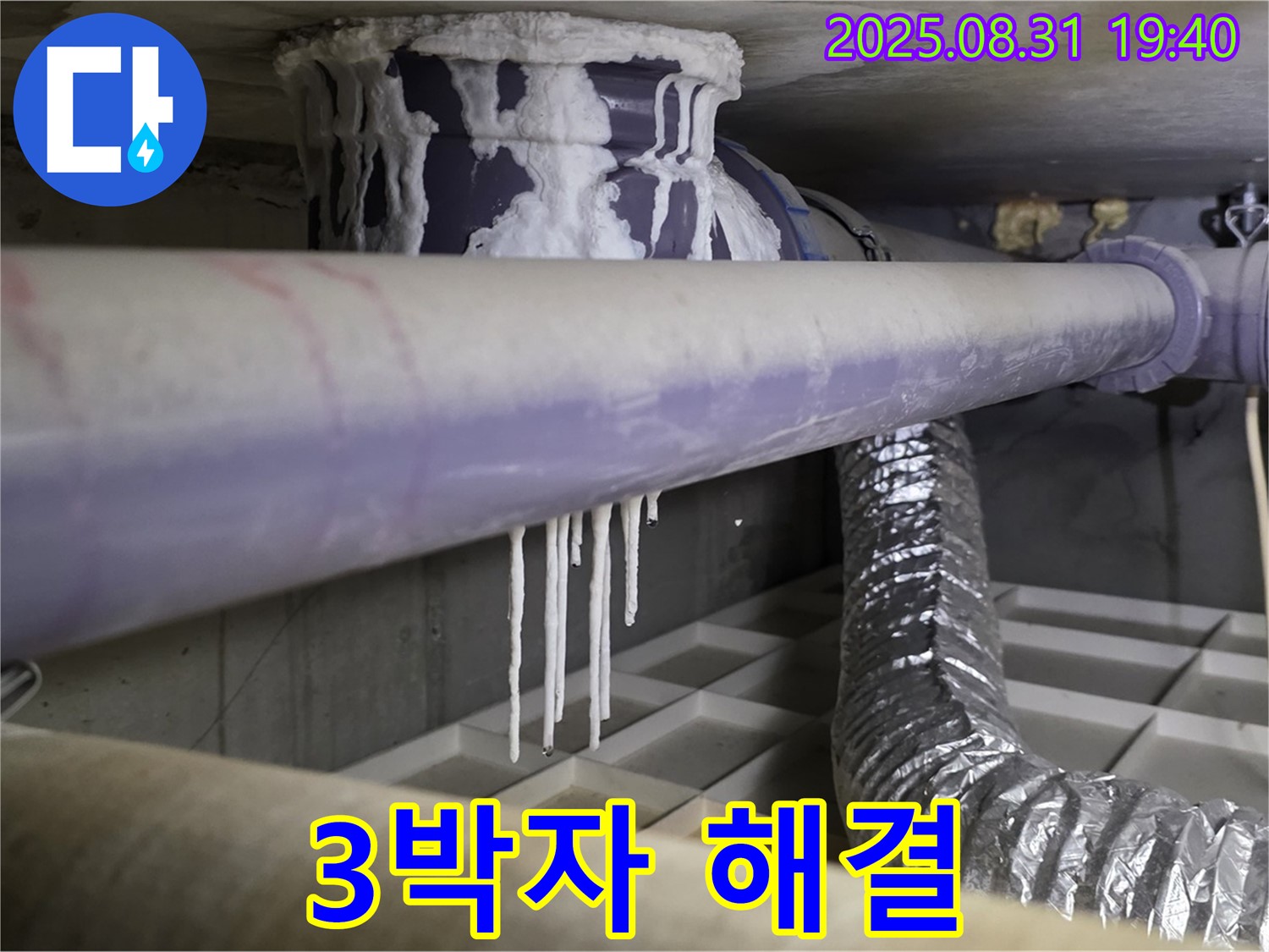 분당구 산운로 누수 - 석회수, 곰팡이, 악취 3박자 완벽 해결 - 쾌적한 공간으로