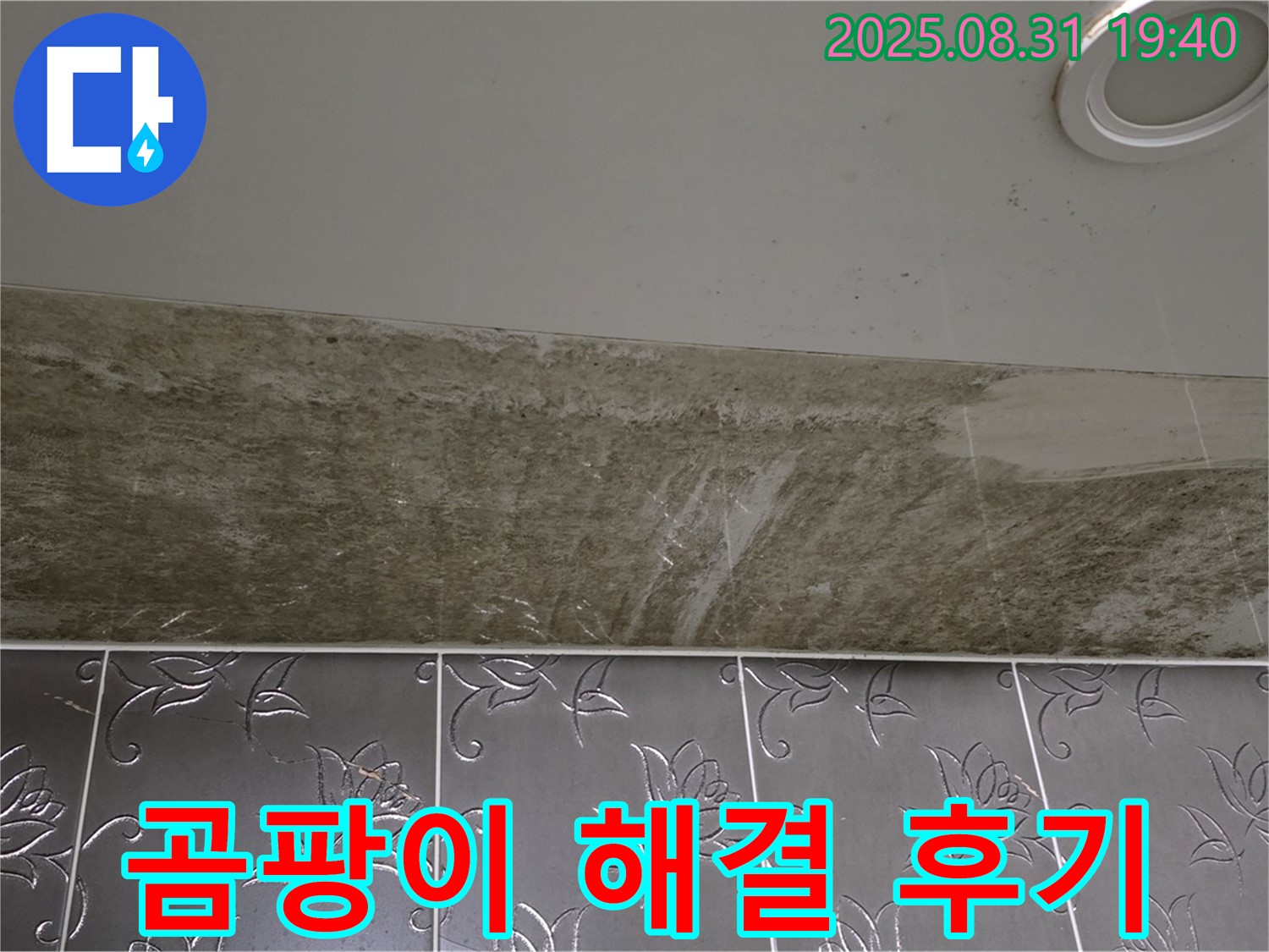 분당구 수내동 곰팡이 밭이 된 욕실 천장 누수 - 완벽하게 해결된 시원한 리얼 후기!