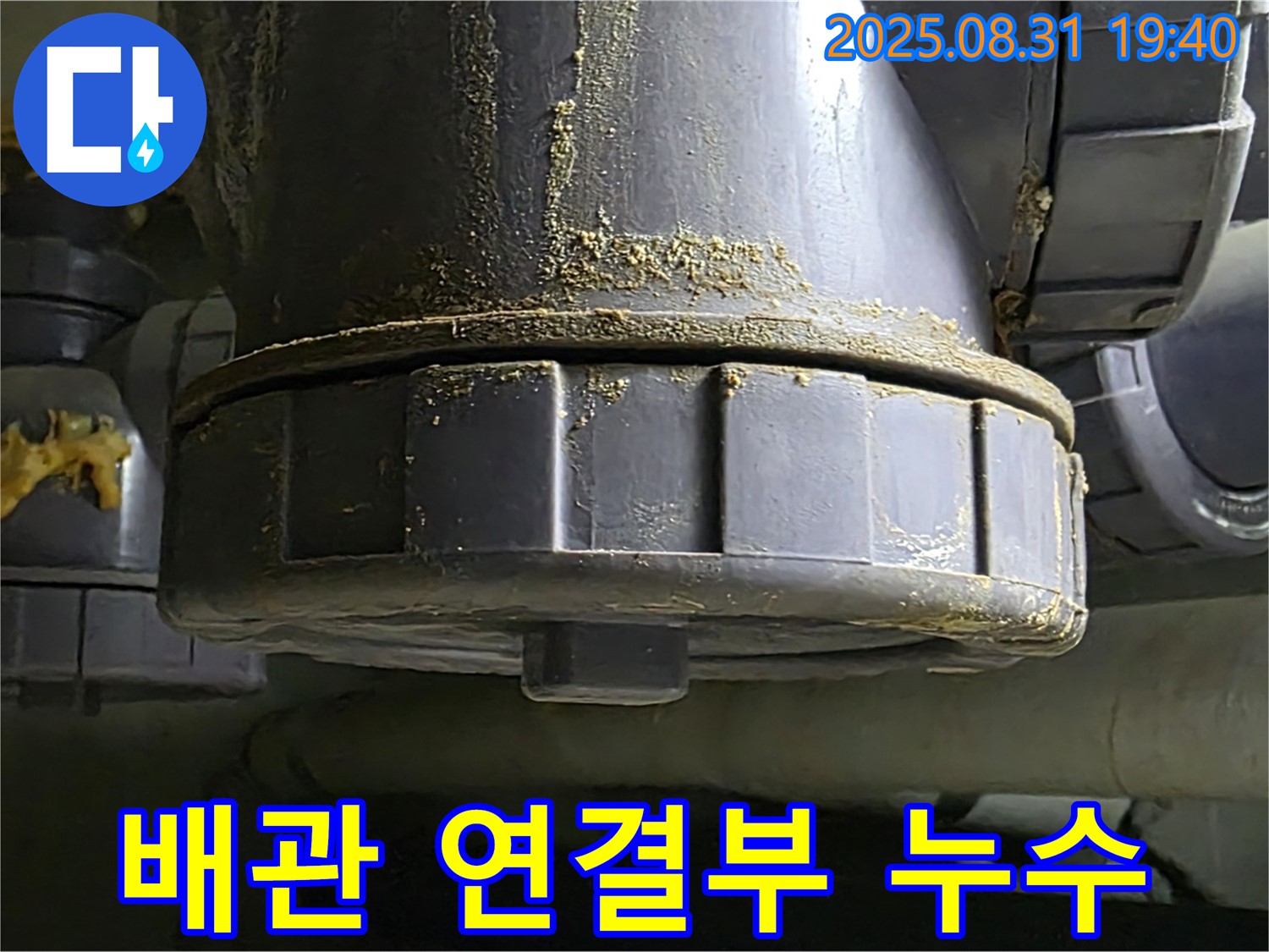 분당구 이매동 누수 - 배관 연결 부위에서 누수 발생