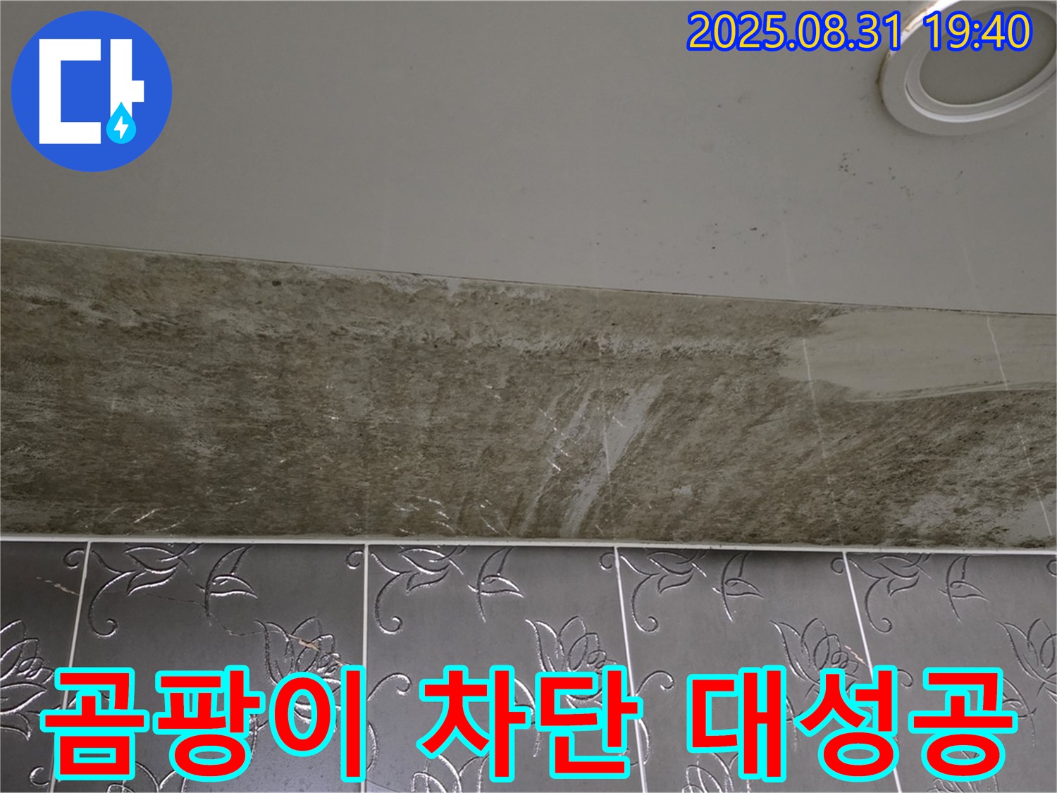 분당구 정자동 곰팡이 소굴 된 욕실 천장 누수 - 완벽하게 차단 대성공!
