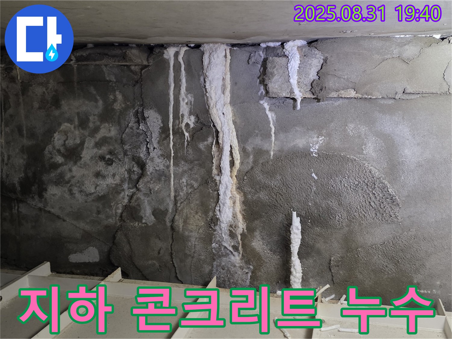 분당구 정자동 빌라 지하 콘크리트 누수 - 심각한 석회수 누수 흔적과 콘크리트 손상, 건물 안전 위협
