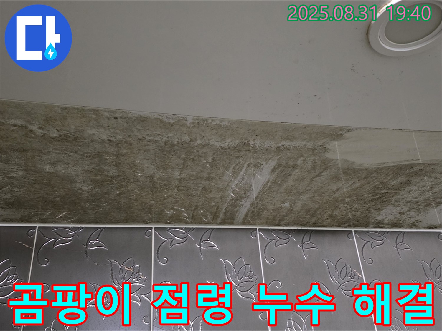분당구 정자동 욕실 천장 누수 - 곰팡이 점령된 욕실, 천장 누수 완벽 해결!