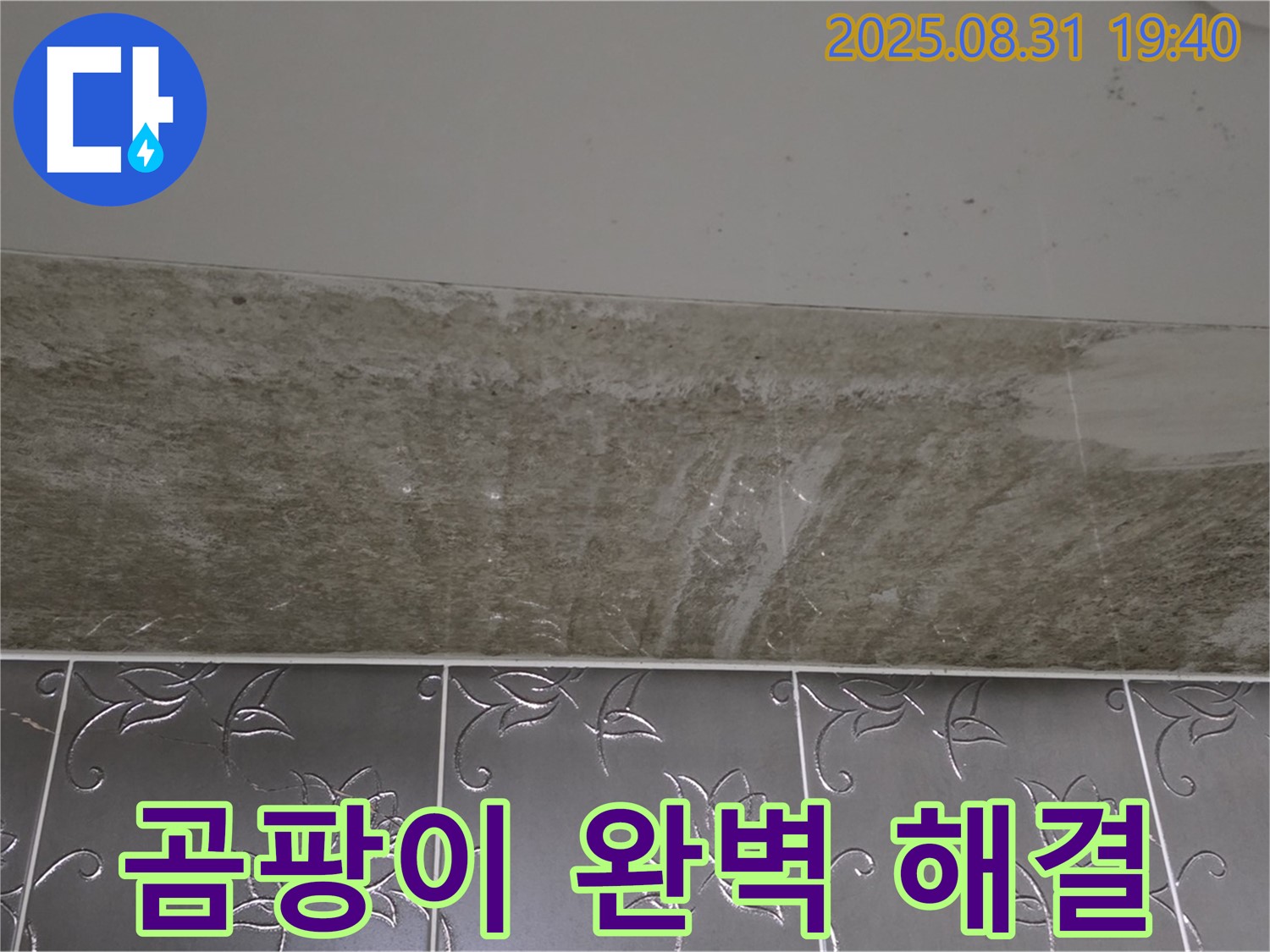 산운동 욕실 누수 - 곰팡이 완벽 해결!