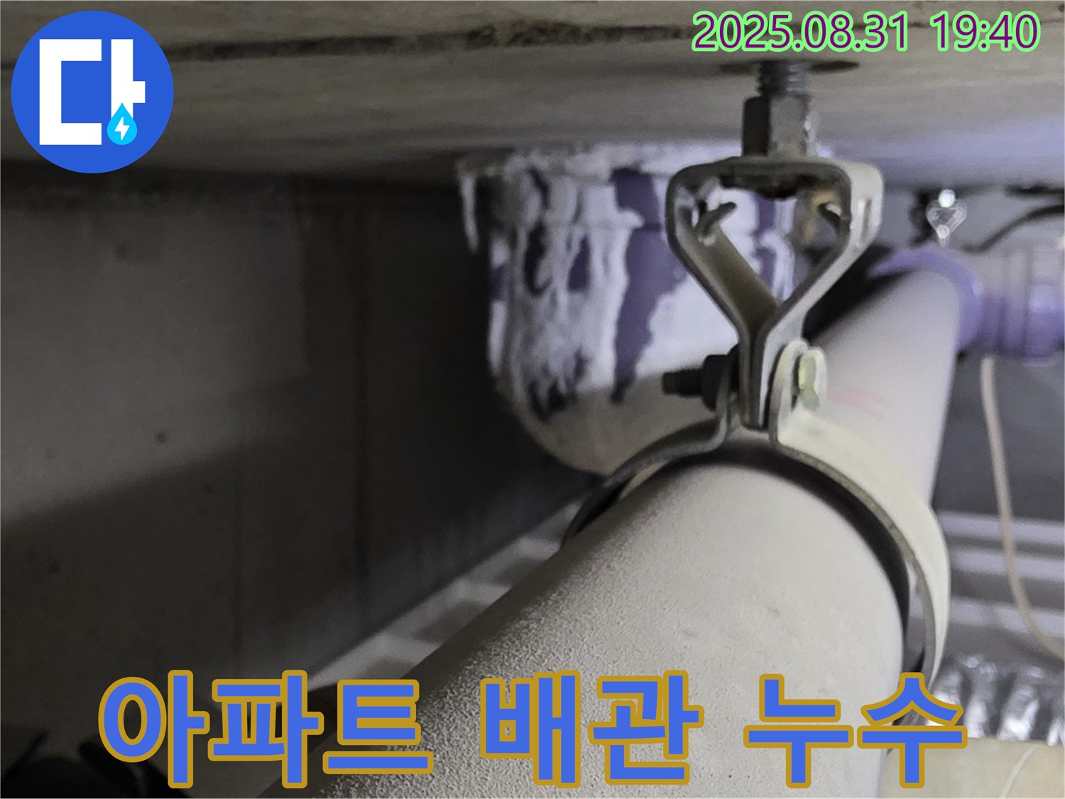 삼평동 아파트 배관 누수 - 누수 탐지 장비 - 정확한 위치 파악