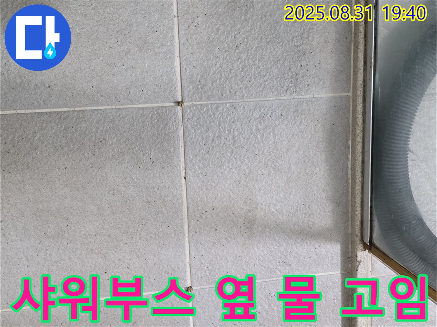 샤워부스 옆 물 고임 - 타일 누수 의심, 전문가에게 문의하세요!