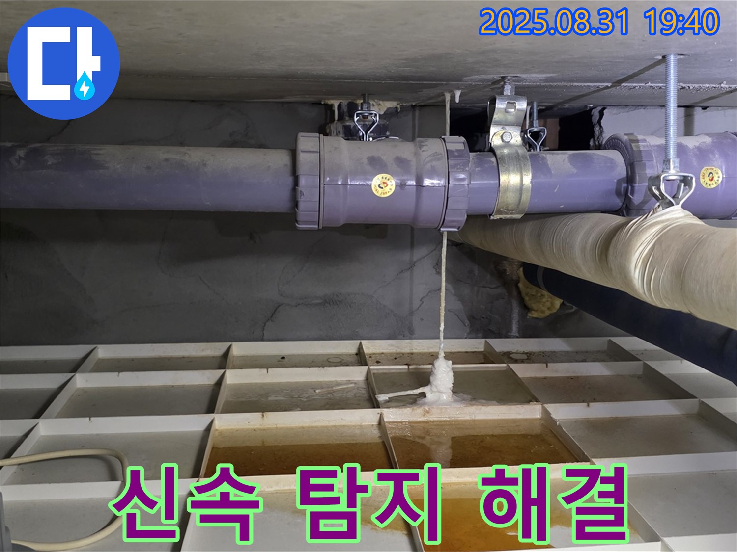 성남시 분당구 누수 - 신속한 탐지와 완벽한 해결로 누수 고민 해결