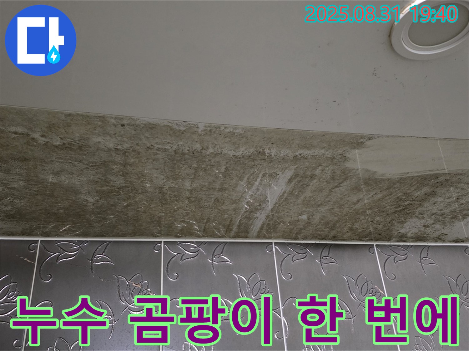 성남시 분당구 정자동 욕실 천장 누수 - 곰팡이 제거와 누수 해결을 한 번에!